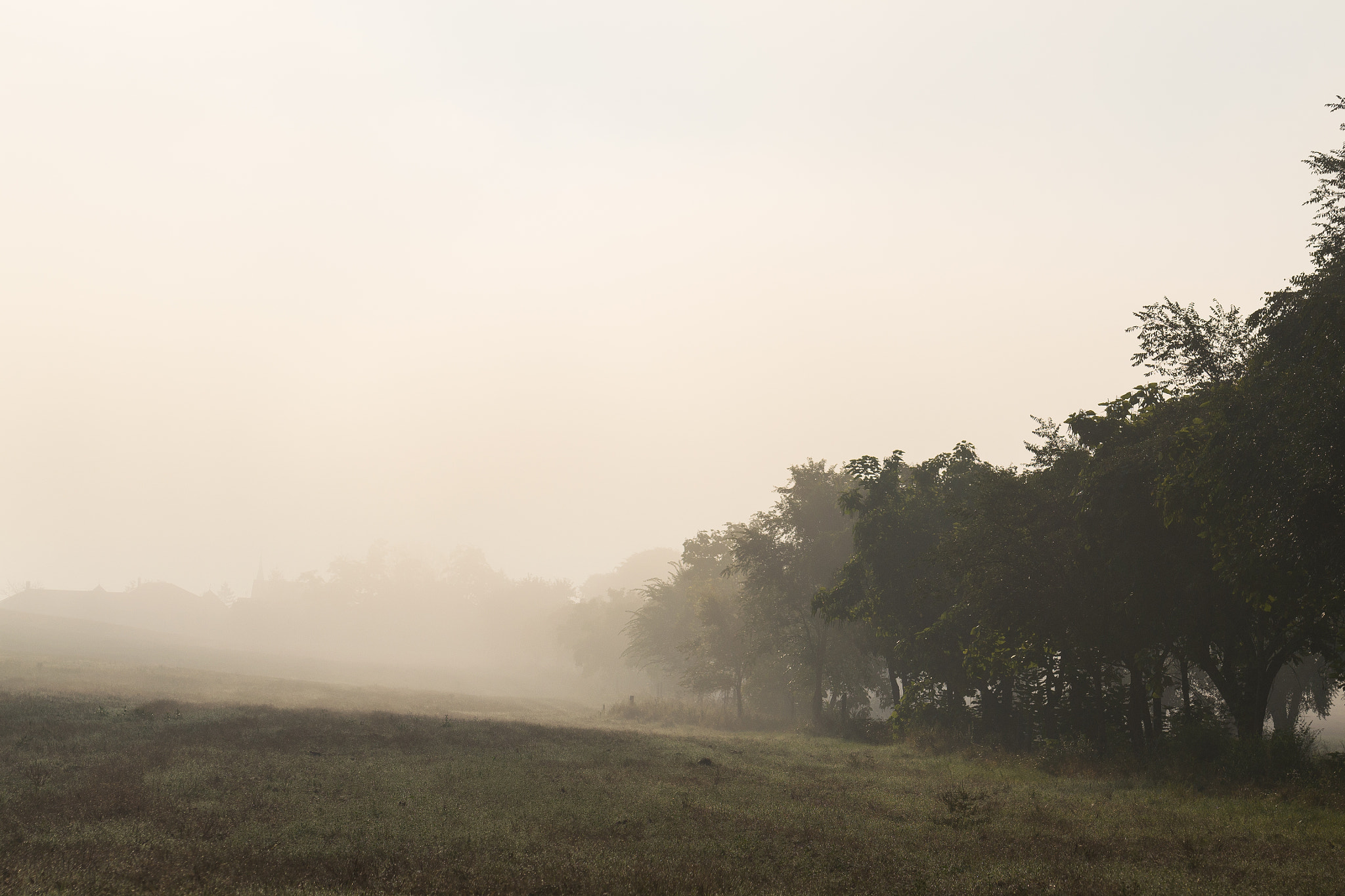 Sigma 105mm F2.8 EX DG OS HSM sample photo. Foggy photography