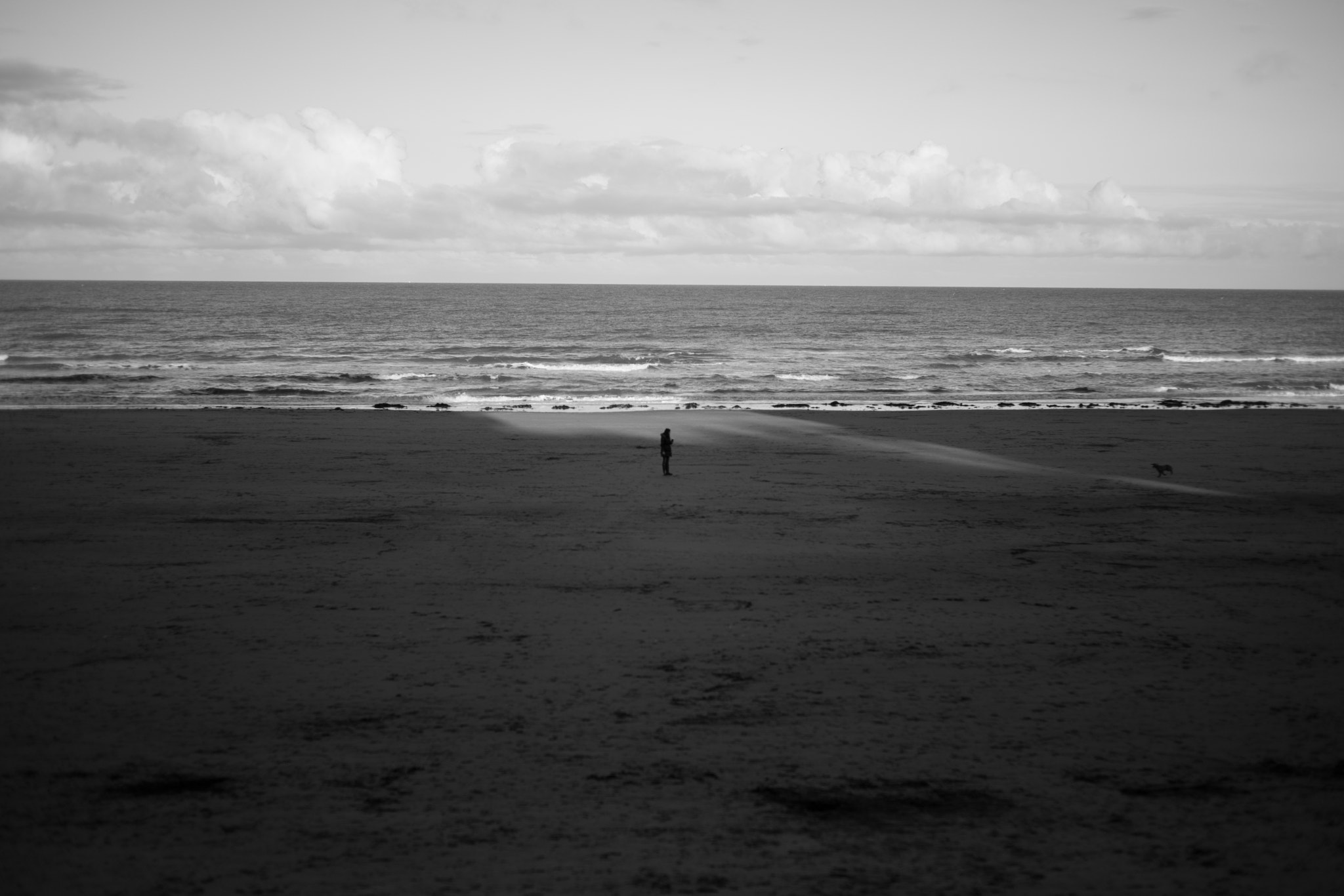 Leica Summilux-M 50mm F1.4 ASPH sample photo. Scarborough october 2016 photography