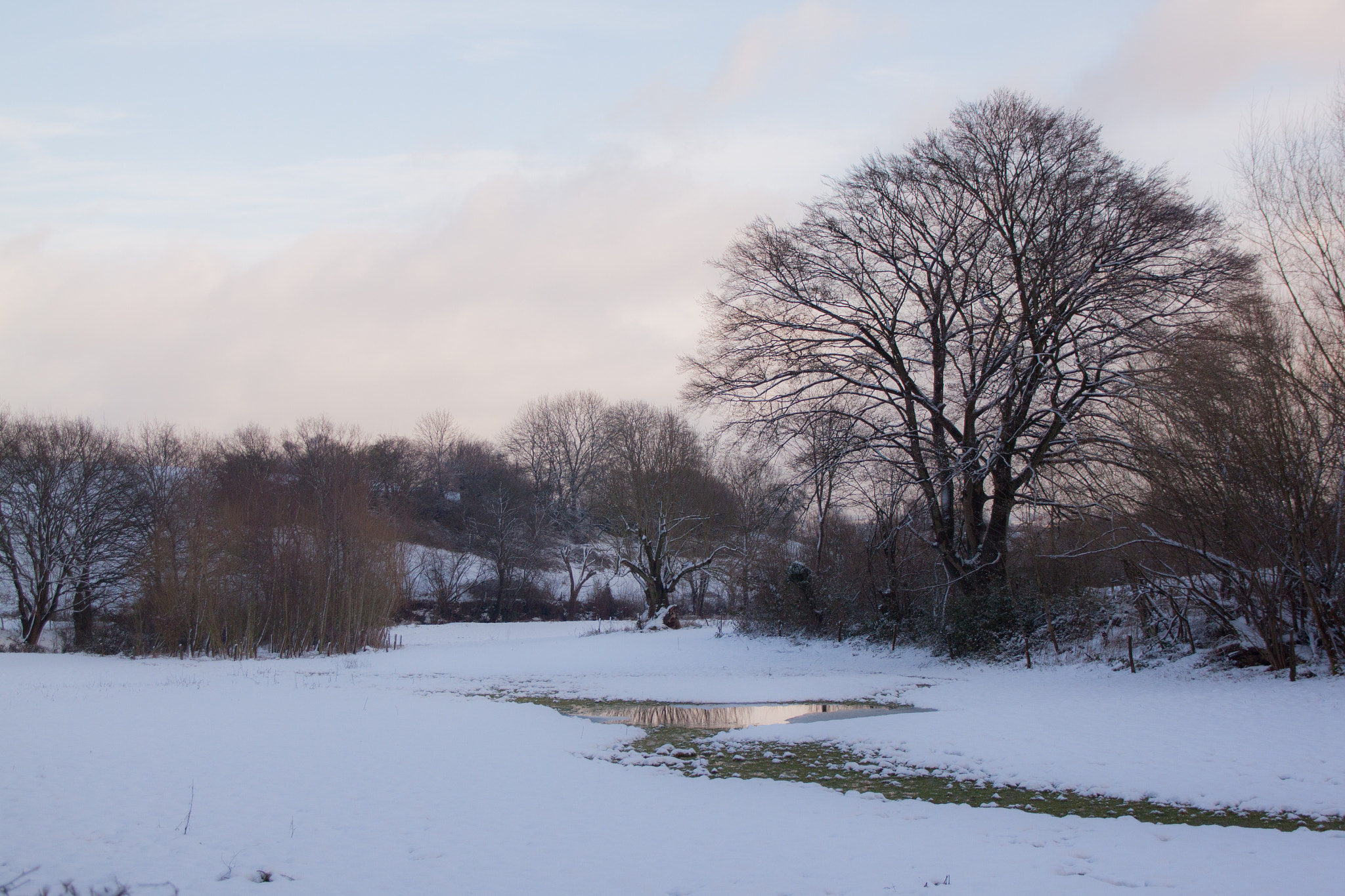 Canon EOS 500D (EOS Rebel T1i / EOS Kiss X3) + Canon TS-E 90mm F2.8 Tilt-Shift sample photo. Snow and water in aachen photography