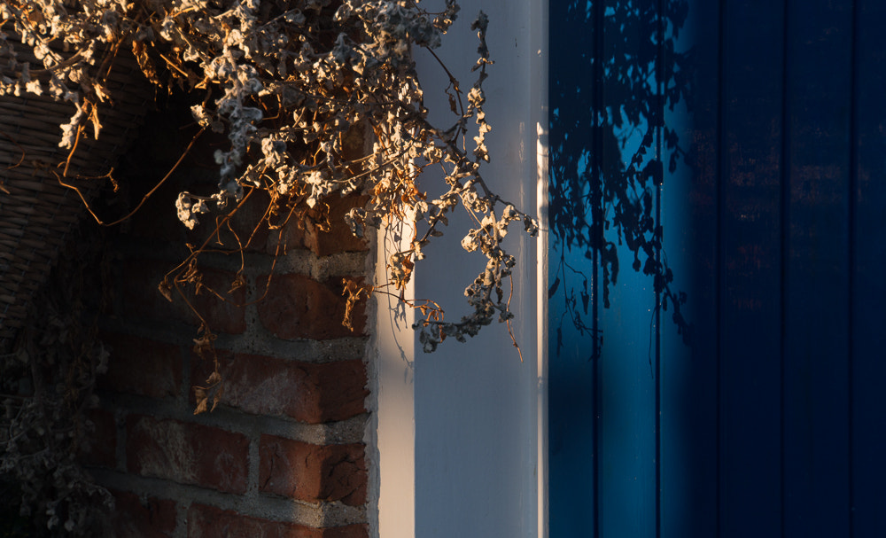 Sony Alpha NEX-3N + Sony E 18-200mm F3.5-6.3 OSS sample photo. Autumn sun photography