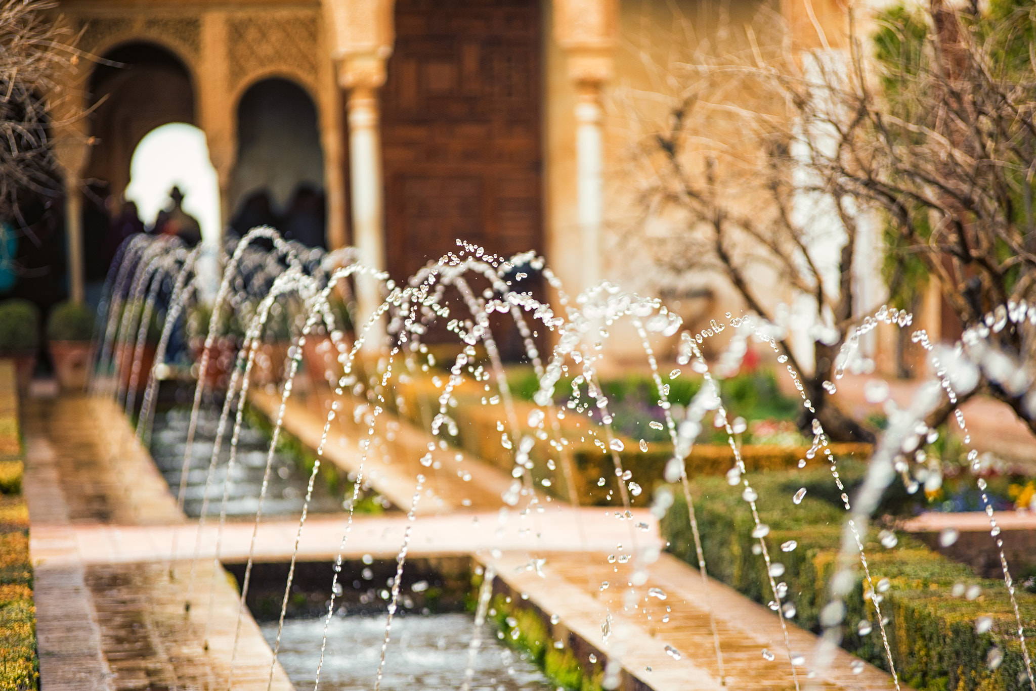 Nikon D810 sample photo. Water photography