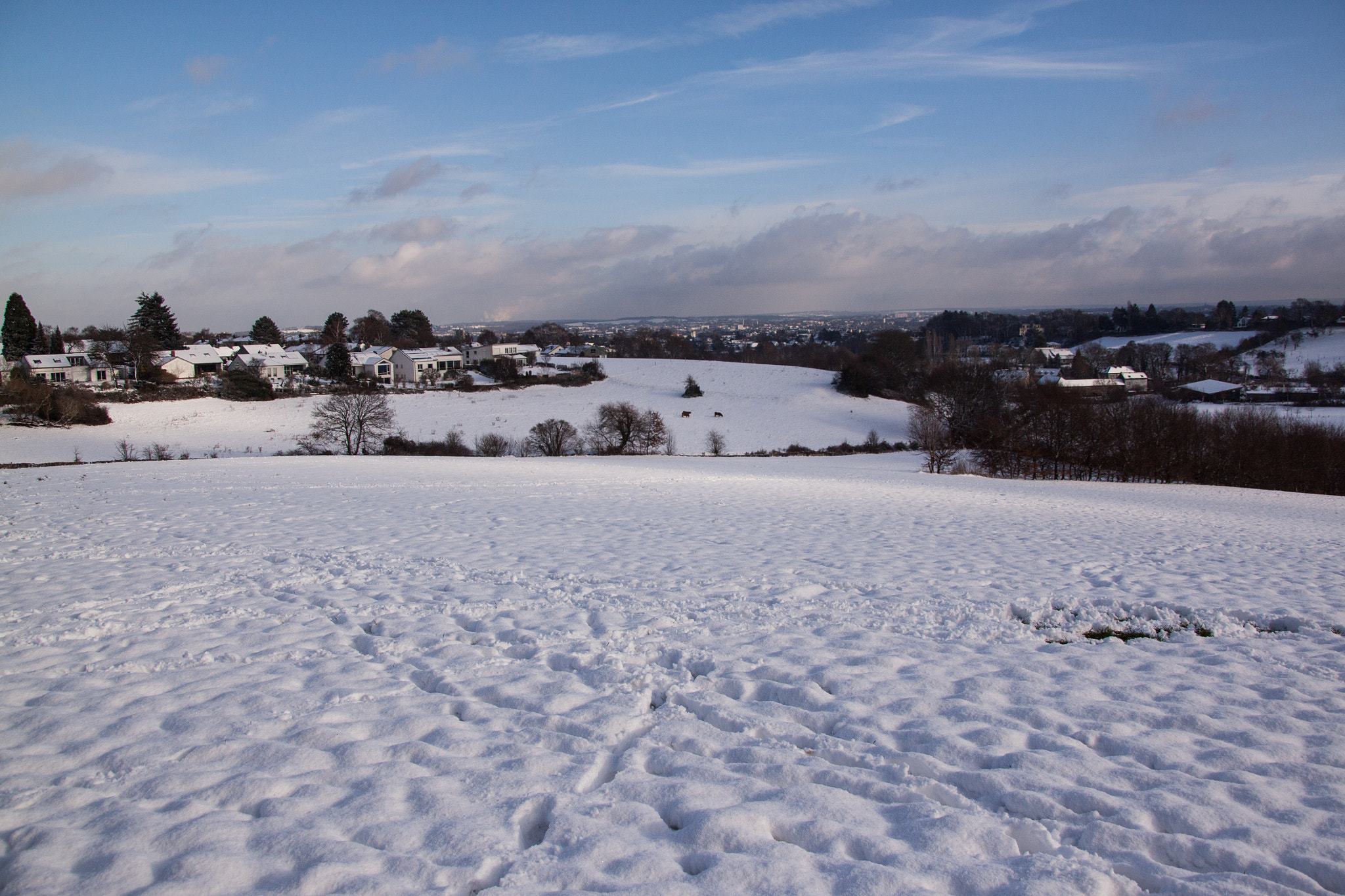 Canon TS-E 90mm F2.8 Tilt-Shift sample photo. Aachen periphery in a wonderful day of snow photography
