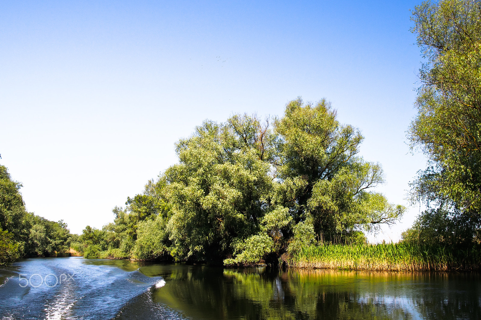 Olympus OM-D E-M5 sample photo. Danube photography