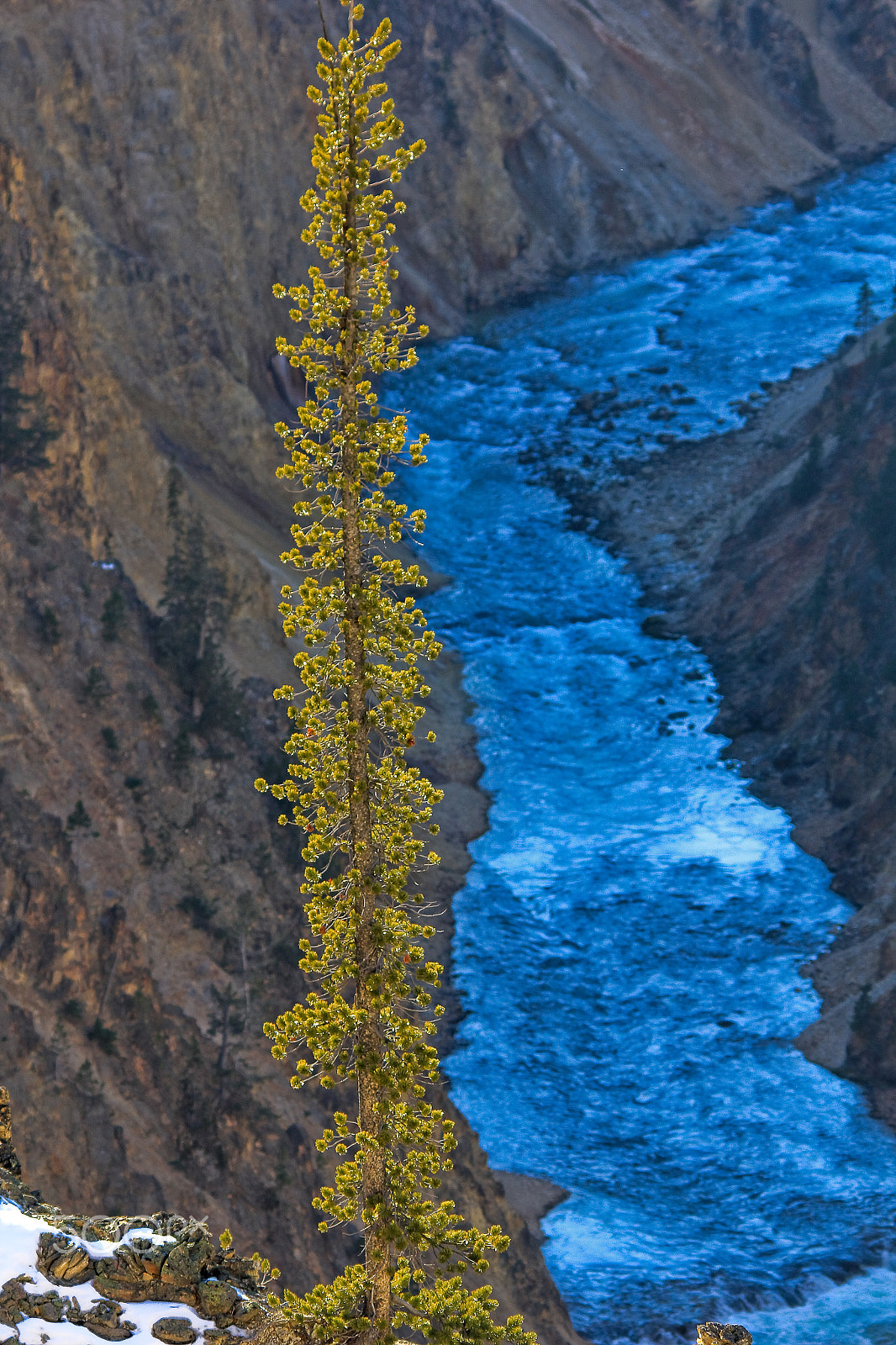 Canon EOS 60D + Sigma 150-500mm F5-6.3 DG OS HSM sample photo. Yellowstone falls photography