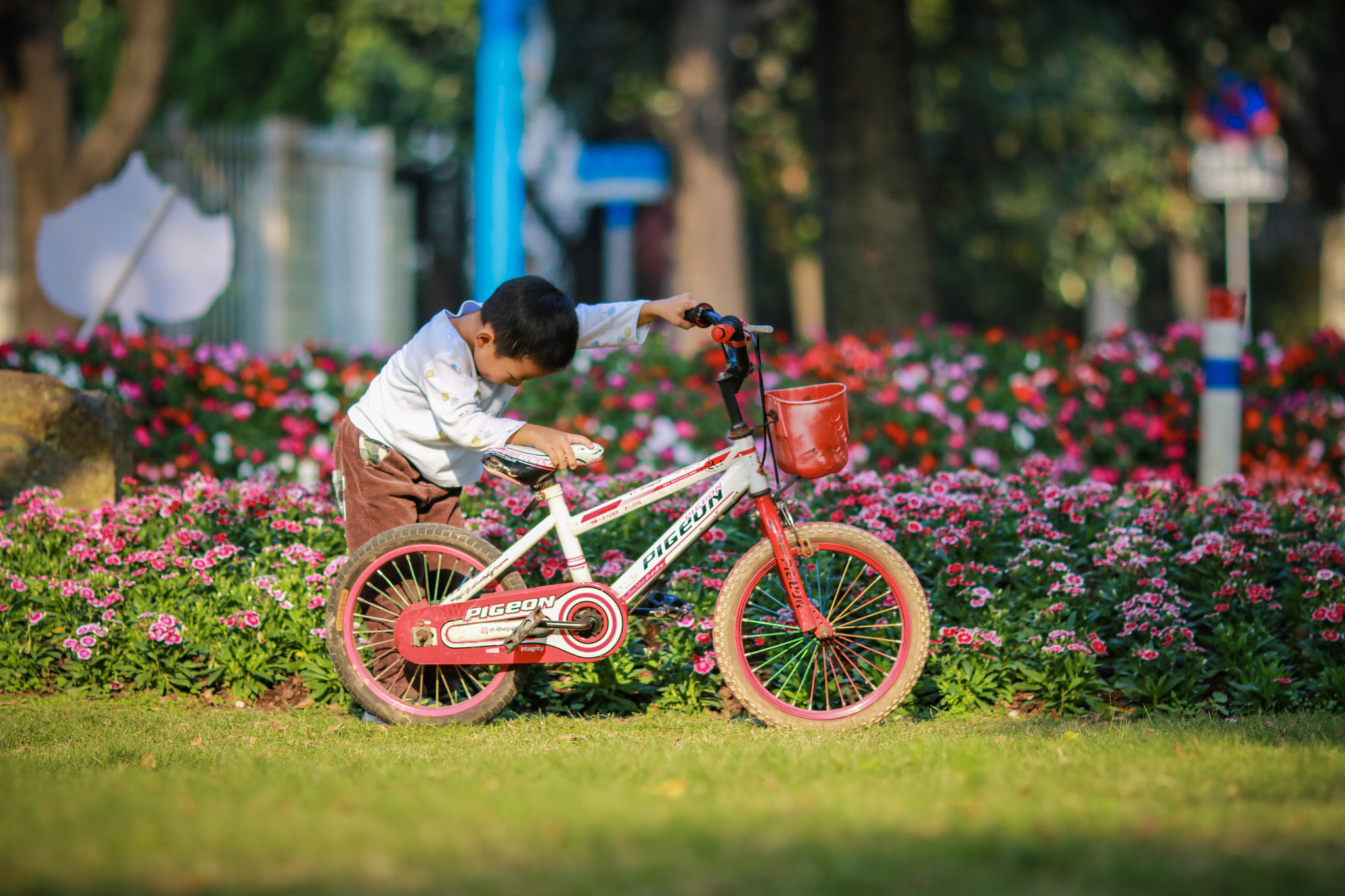 Canon EF 135mm F2L USM sample photo