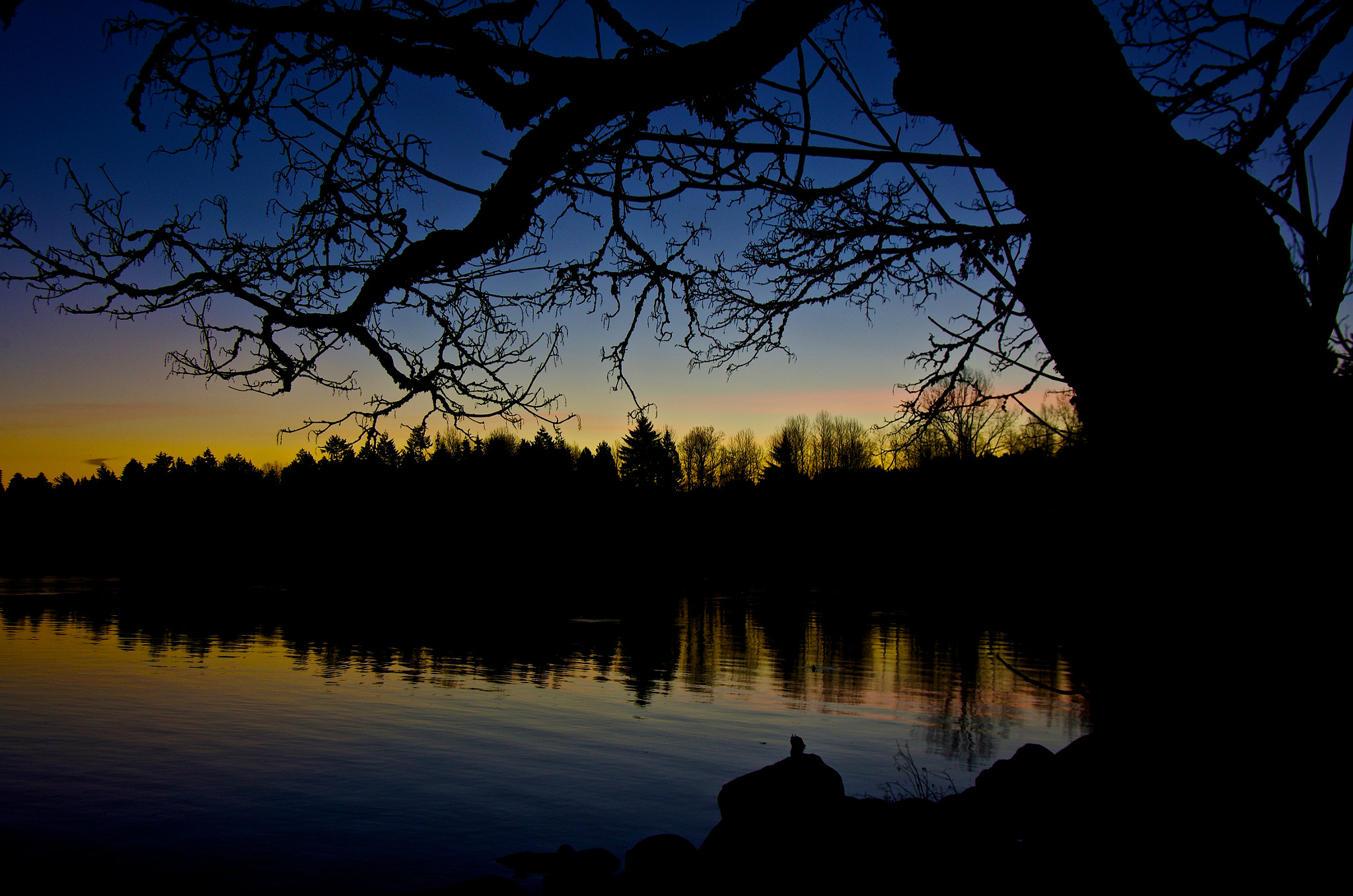 Pentax smc DA 16-45mm F4 ED AL sample photo. Waiting on the sun photography