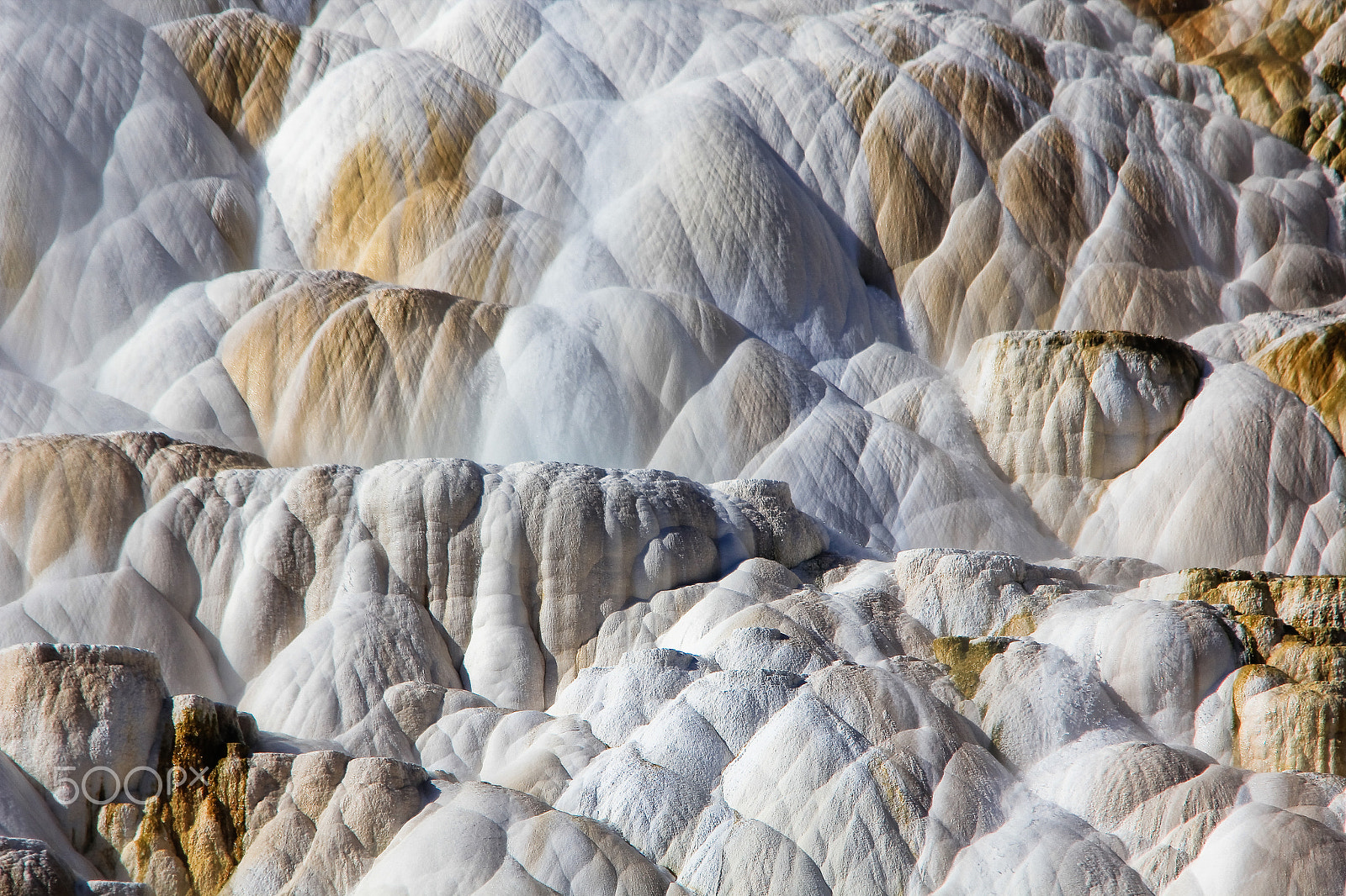 Sigma 150-500mm F5-6.3 DG OS HSM sample photo. Upper mammoth terrace photography