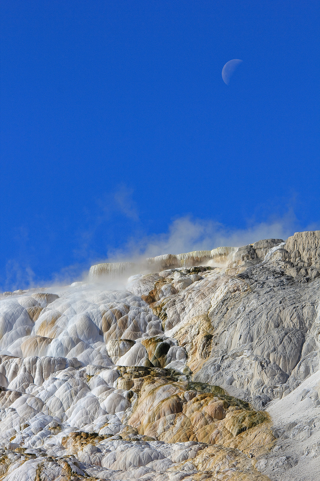 Sigma 150-500mm F5-6.3 DG OS HSM sample photo. Upper mammoth terrace photography