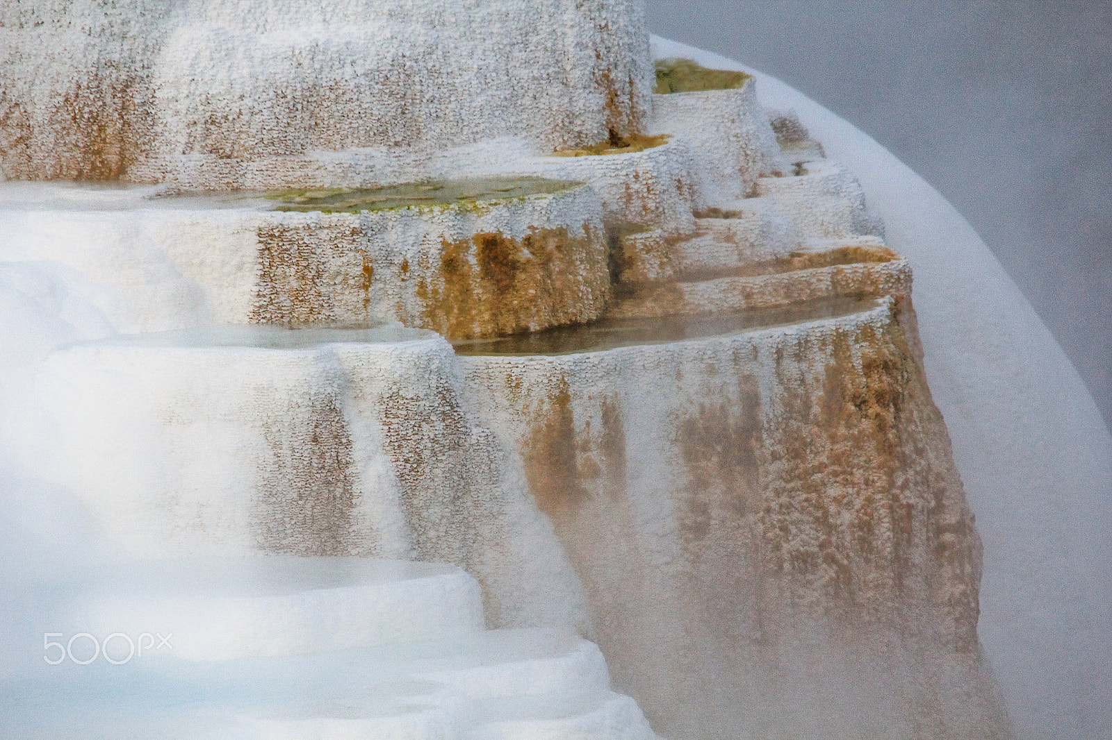 Sigma 150-500mm F5-6.3 DG OS HSM sample photo. Upper mammoth terrace photography