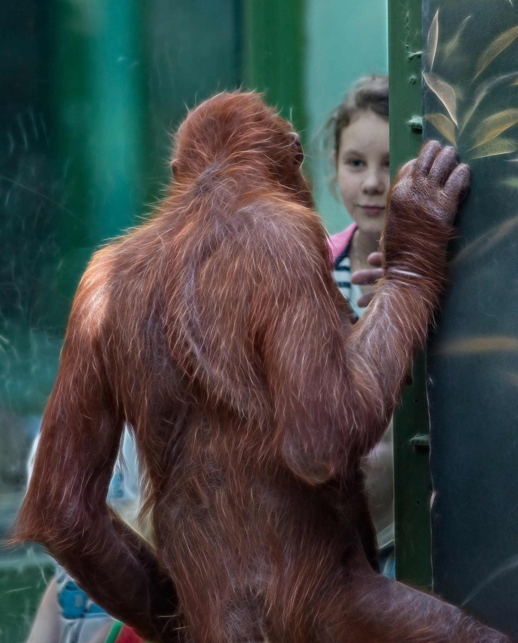 Nikon D600 sample photo. Silent conversation girls and orangutan photography