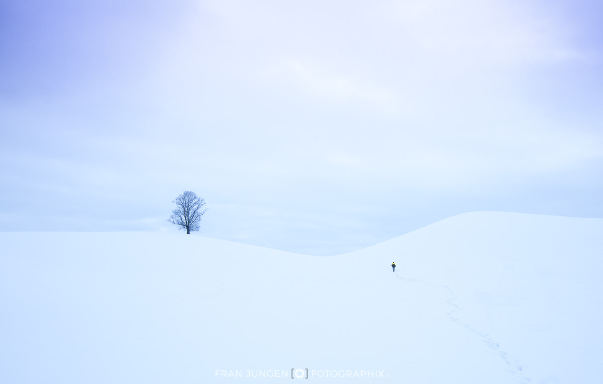 Canon EF 300mm f/2.8L sample photo. Spuren | traces photography