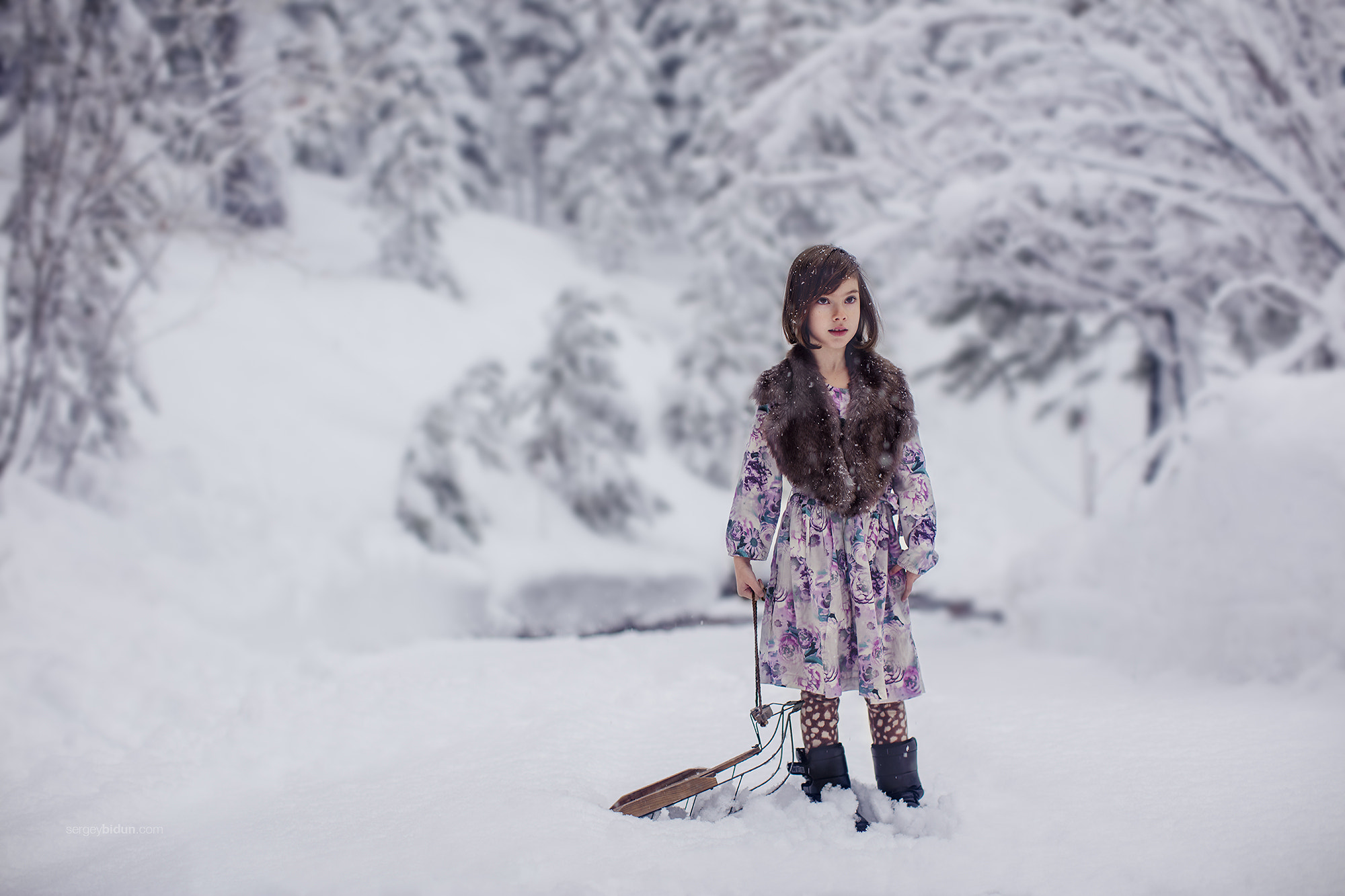 Canon EOS 5DS R + Canon EF 50mm F1.2L USM sample photo. Joanna in winter wonderland. photography