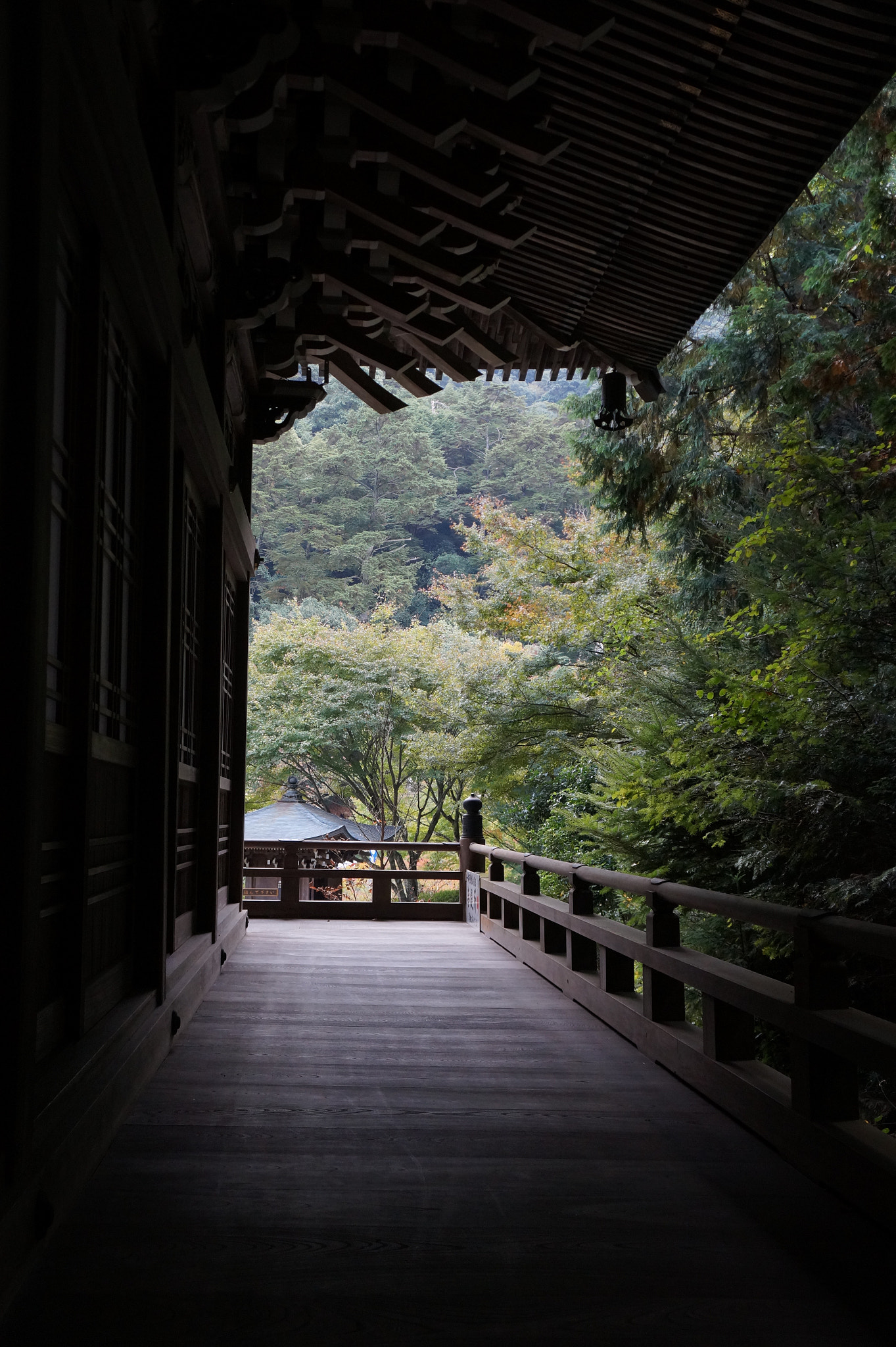 Tamron 18-200mm F3.5-6.3 Di III VC sample photo. Dehors photography