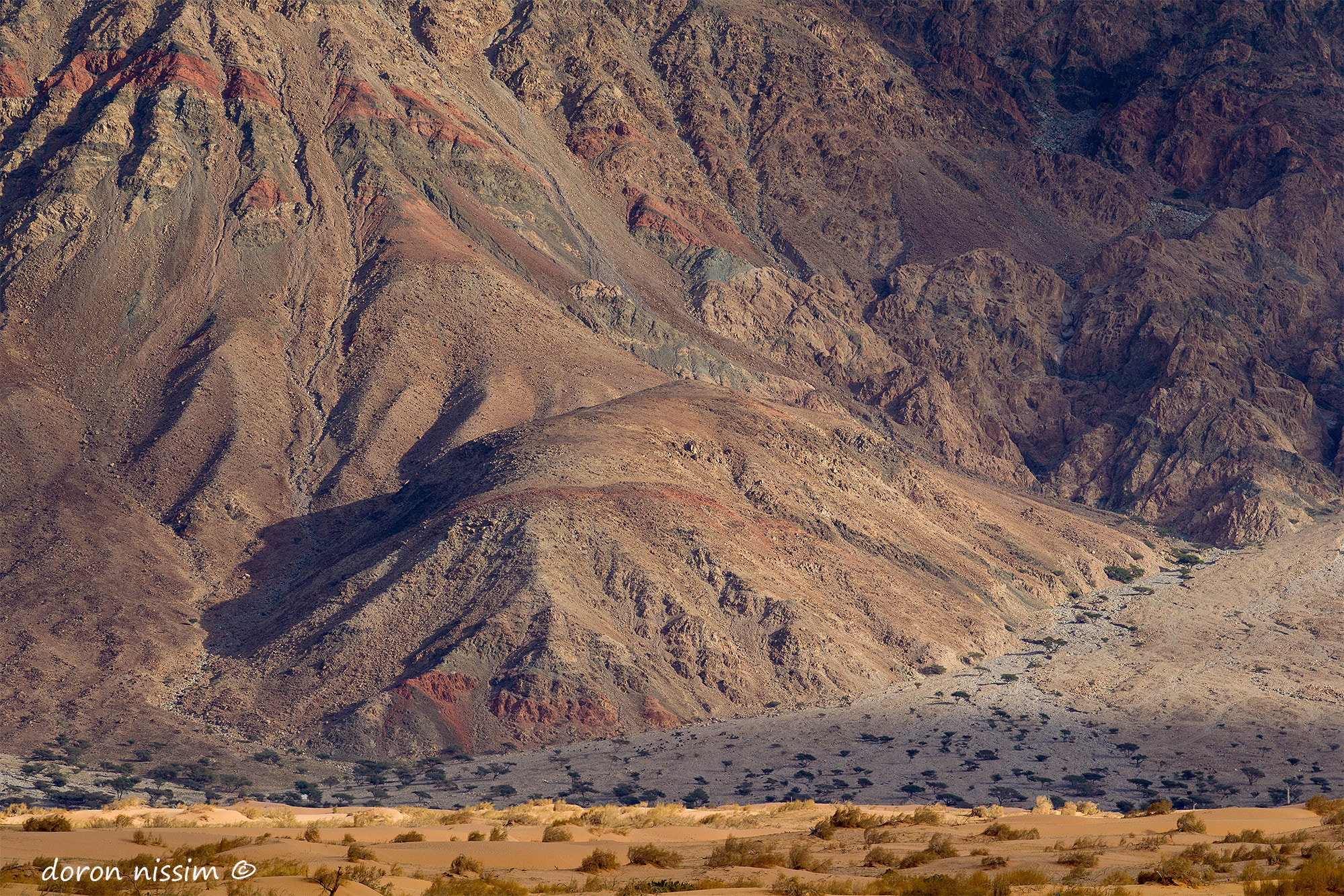Canon EF 300mm F2.8L IS II USM sample photo. Desert colors photography