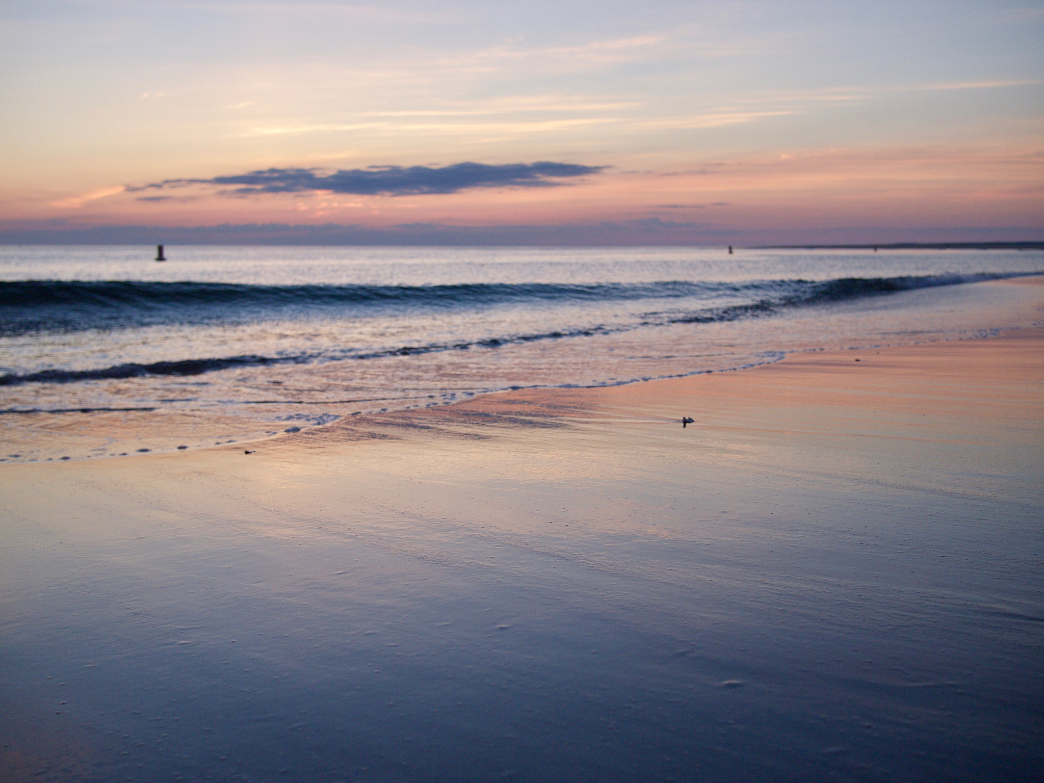 Olympus PEN E-P3 + Panasonic Lumix G 20mm F1.7 ASPH sample photo. Early morning ride to crane photography