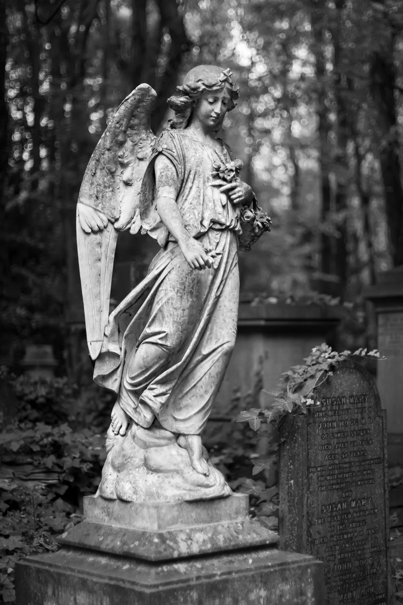 Canon EOS 30D + Canon EF 50mm F1.4 USM sample photo. She is the guardian of the cemetery photography
