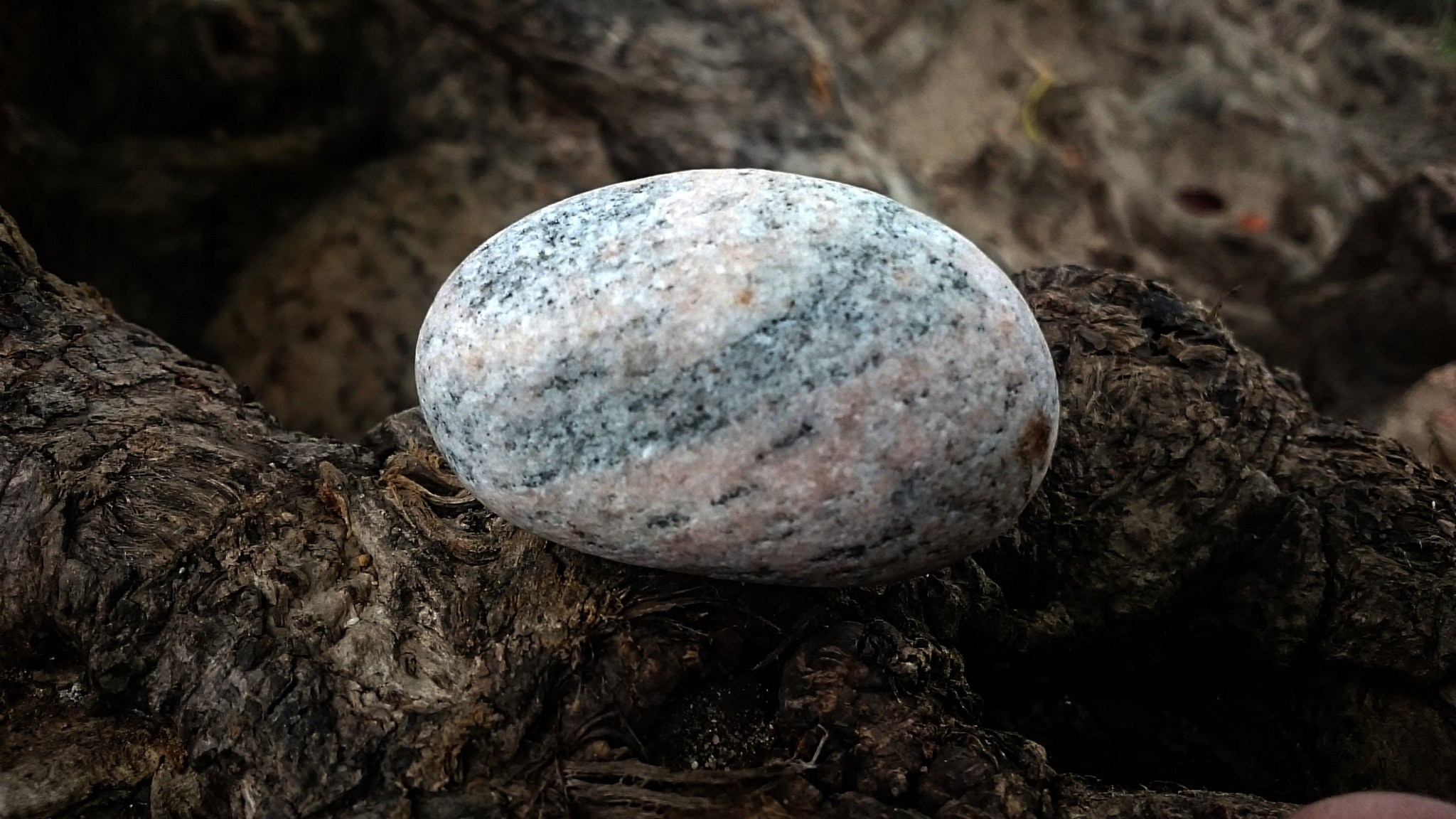 Sony Xperia Z Ultra sample photo