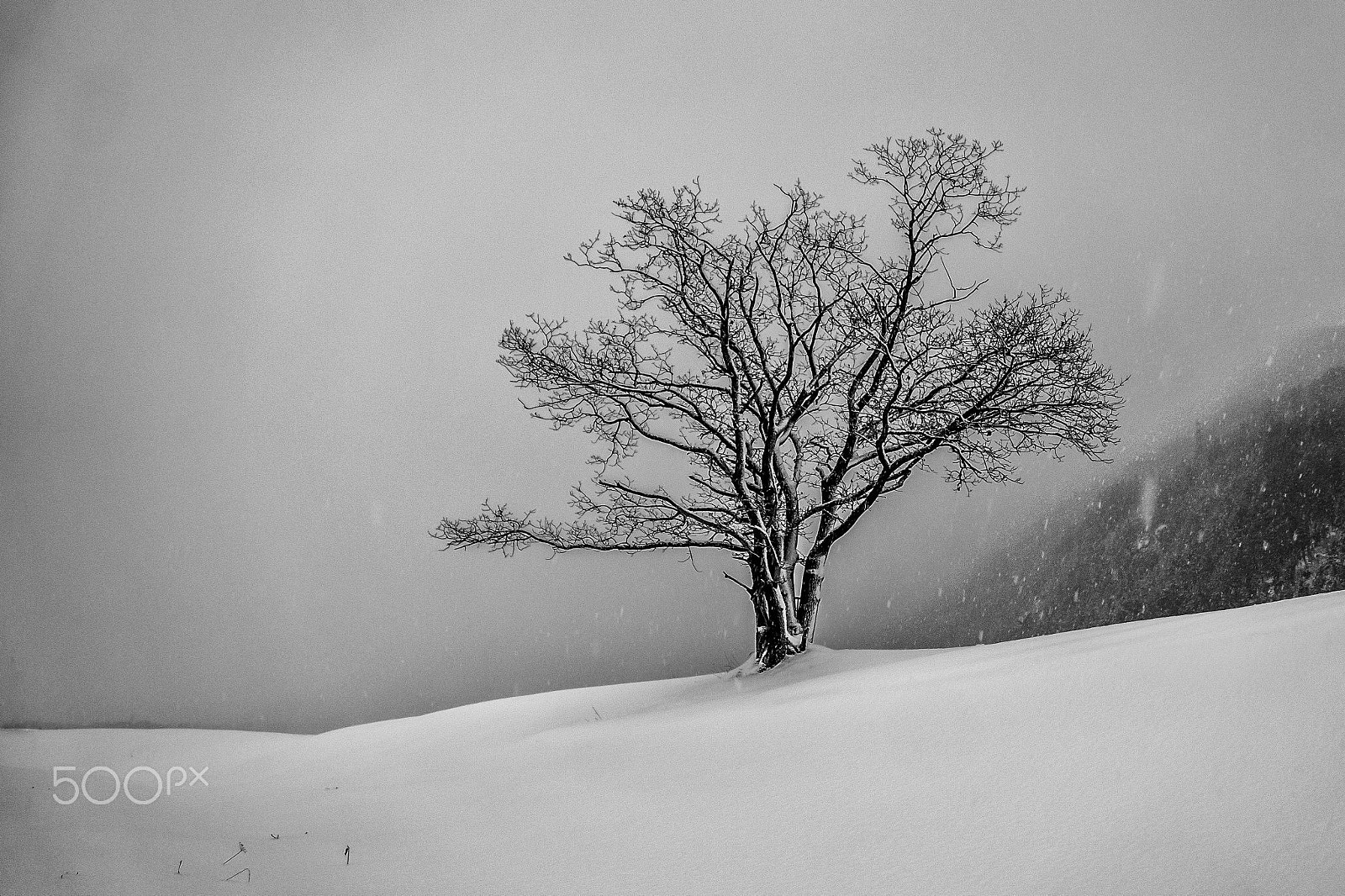 Sony SLT-A58 + Sony DT 16-50mm F2.8 SSM sample photo. Snow is comming photography