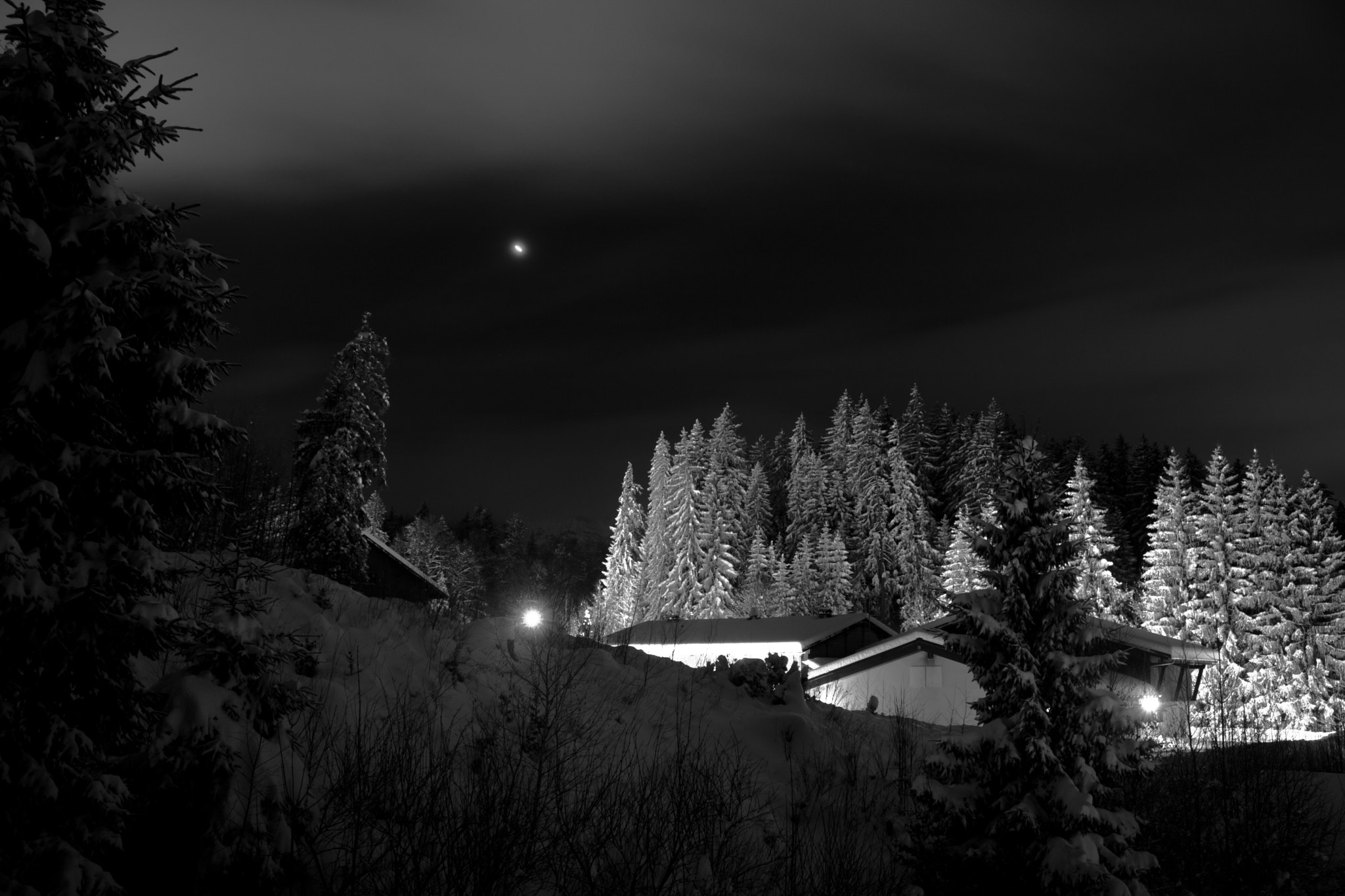 Canon EOS 760D (EOS Rebel T6s / EOS 8000D) sample photo. Fresh snow photography
