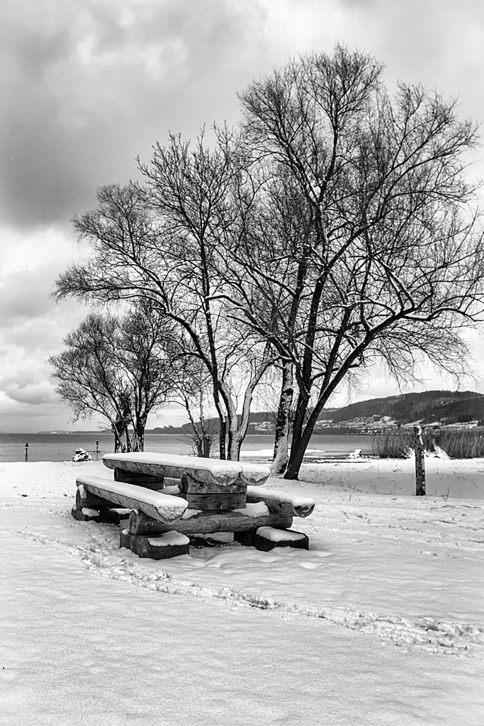 Tokina AT-X Pro 12-24mm F4 (IF) DX sample photo. Pic-nic difficile photography