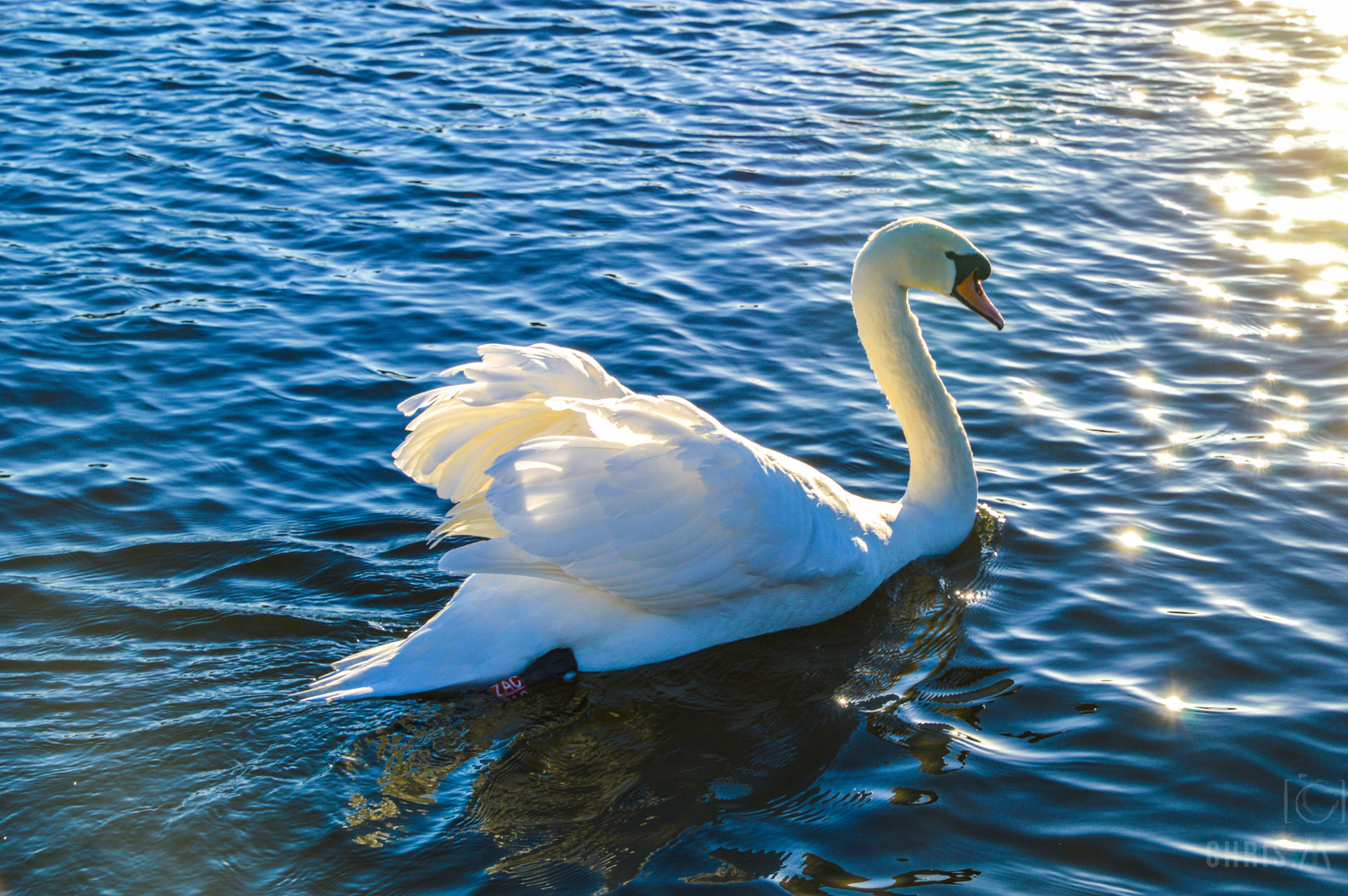 Nikon D3200 sample photo. Penshaw herrington angels photography