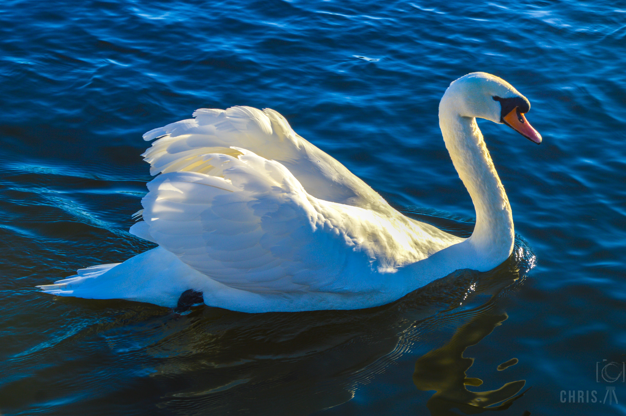 Nikon D3200 sample photo. Penshaw herrington angels photography