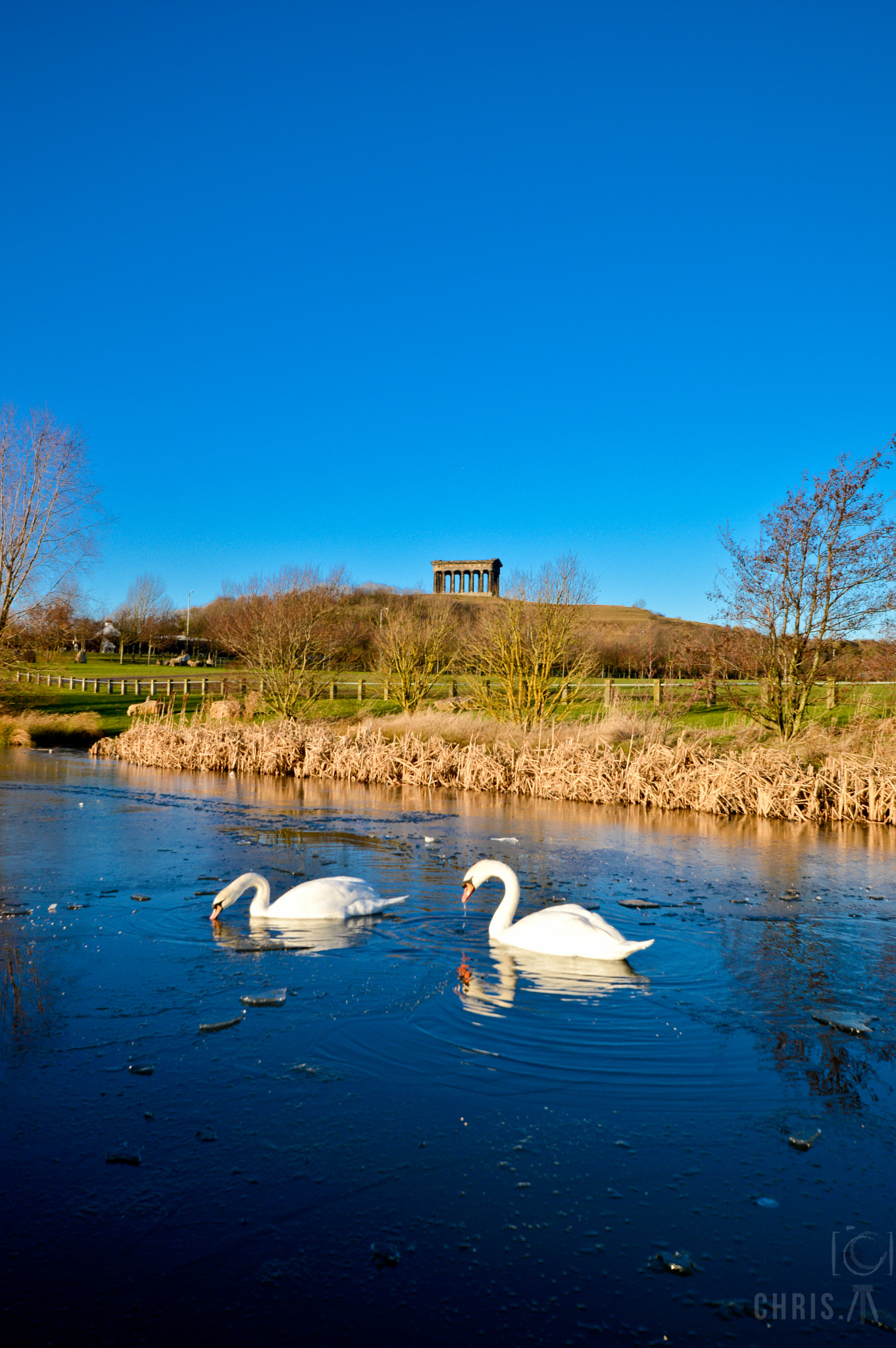 Sigma 10-20mm F3.5 EX DC HSM sample photo. Penshaw herrington angels photography