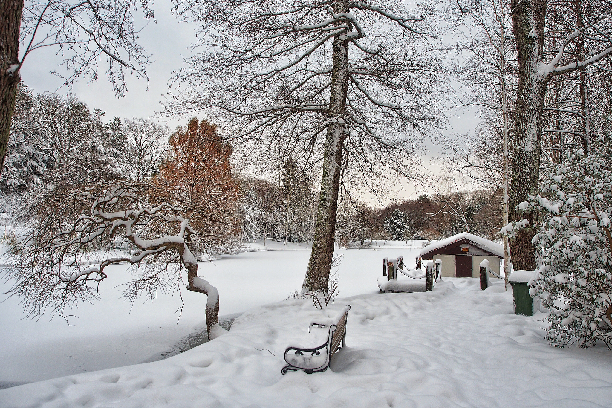 Olympus OM-D E-M5 sample photo. Silence of snow- ataturk arboretum photography