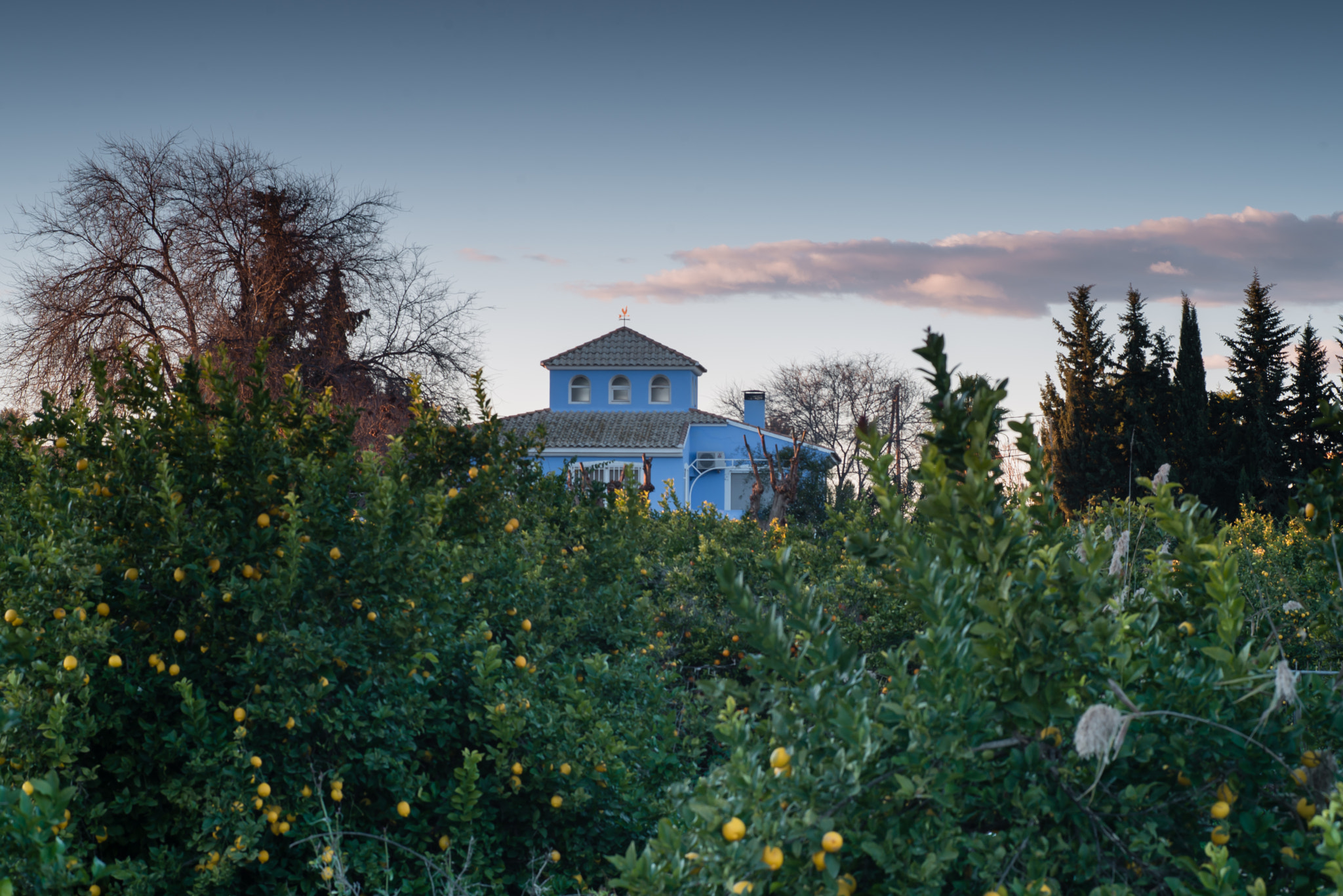 Nikon D800 sample photo. Casa azul- huerta de murcia photography