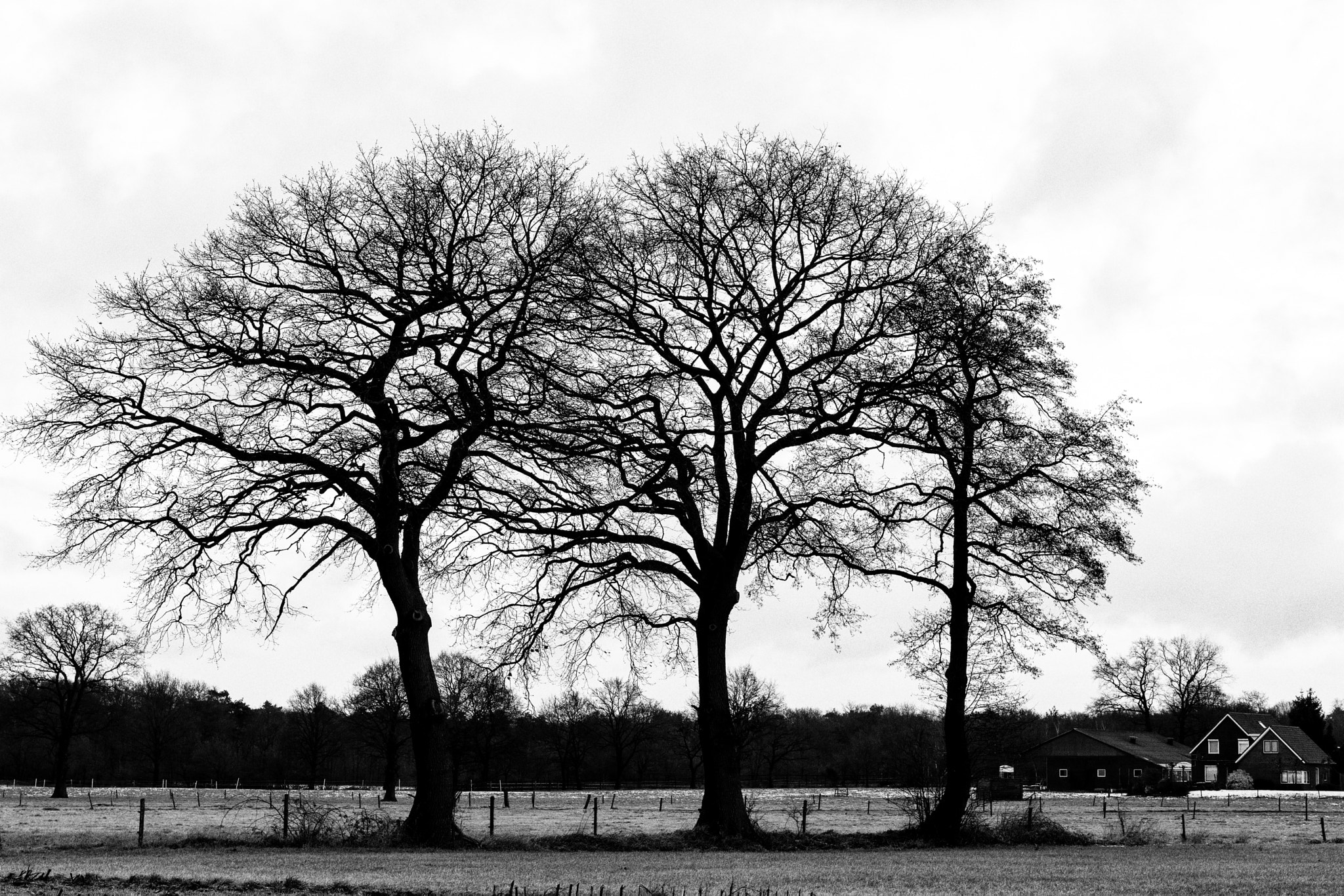 Sony a6300 sample photo. Russendijk 2 of 4, holten, the netherlands photography