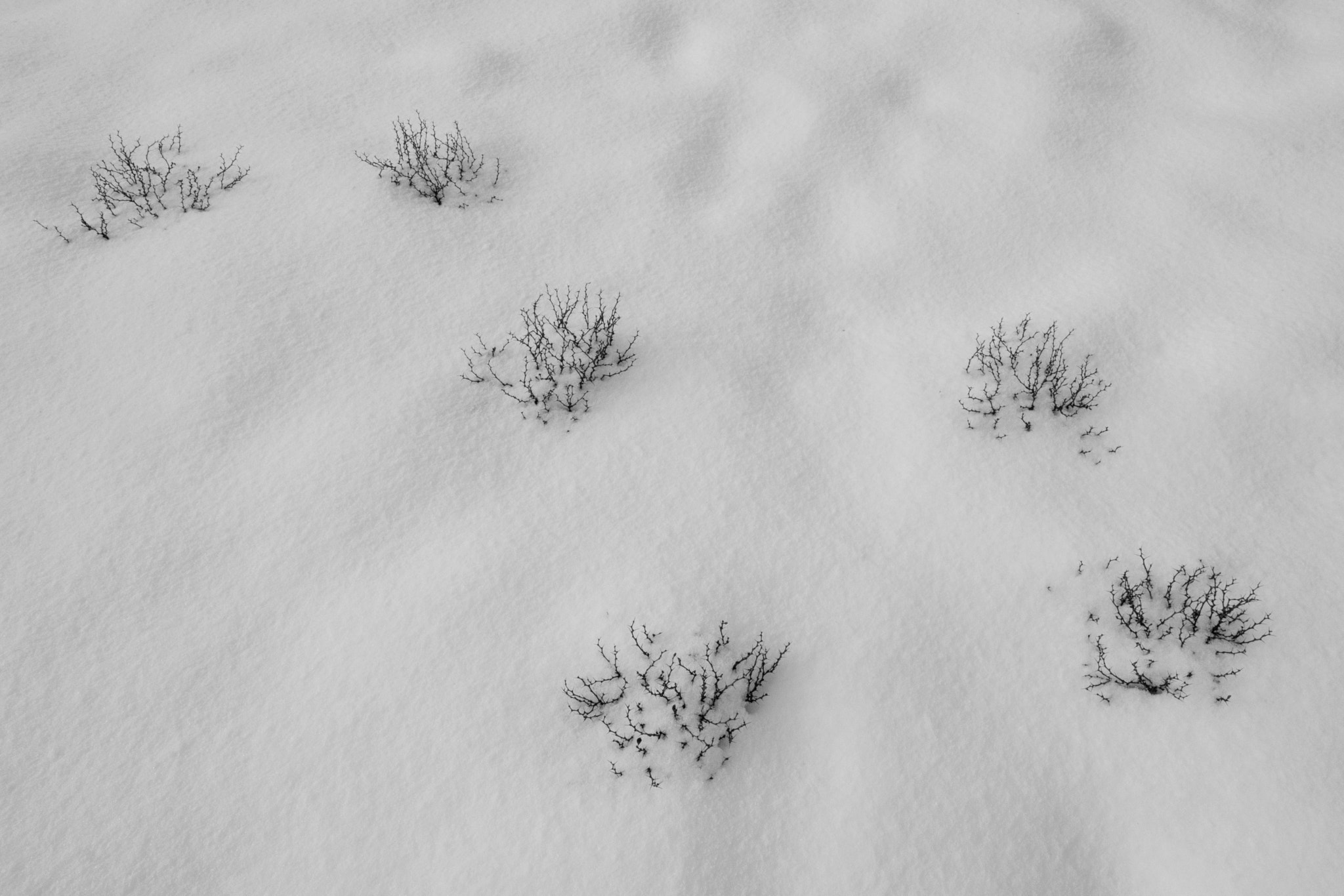 Fujifilm X-T2 + Fujifilm XF 14mm F2.8 R sample photo. 6 in winter photography