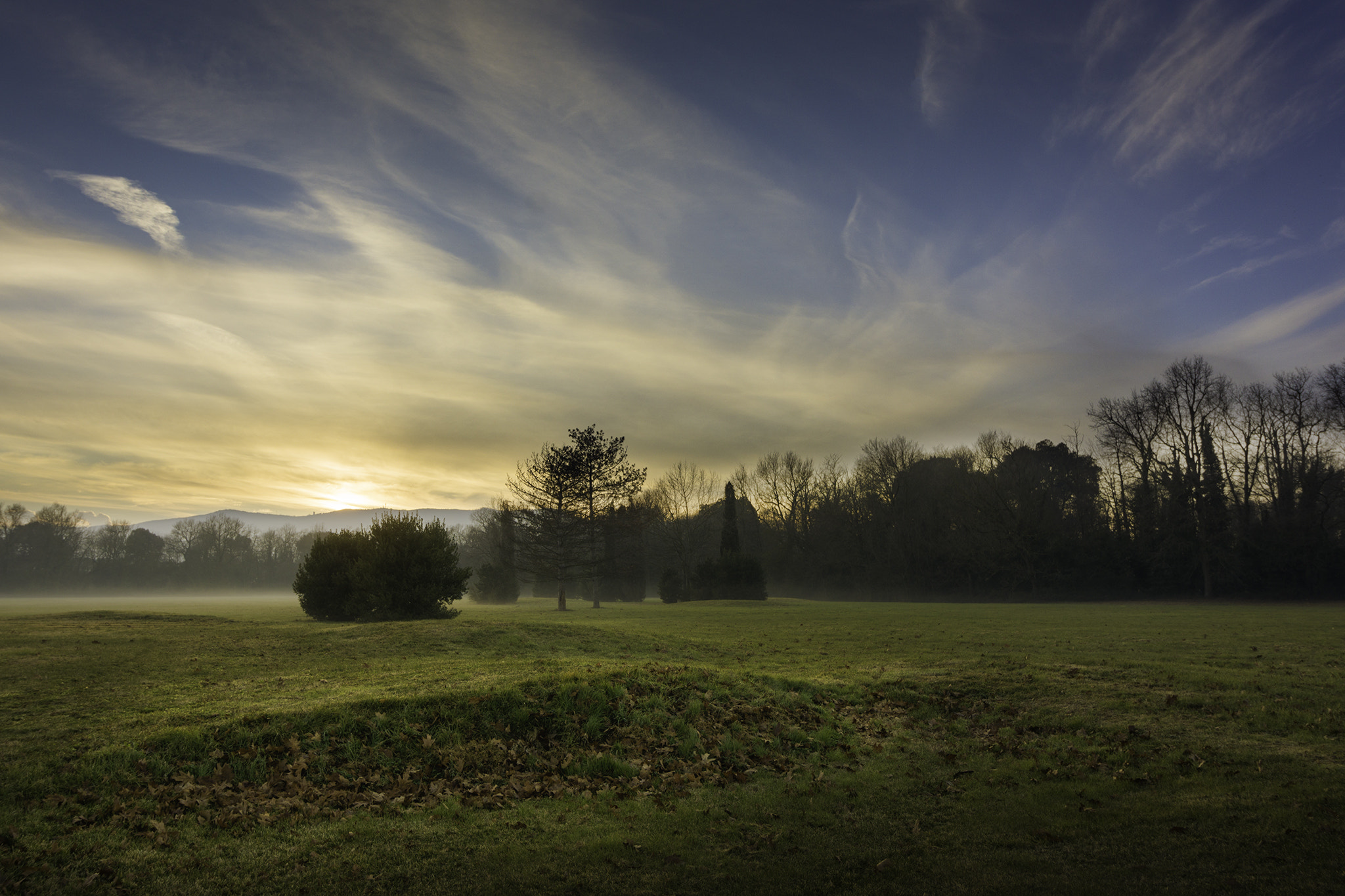 Sony a6000 + Tamron 18-270mm F3.5-6.3 Di II PZD sample photo. Sunset in the park photography