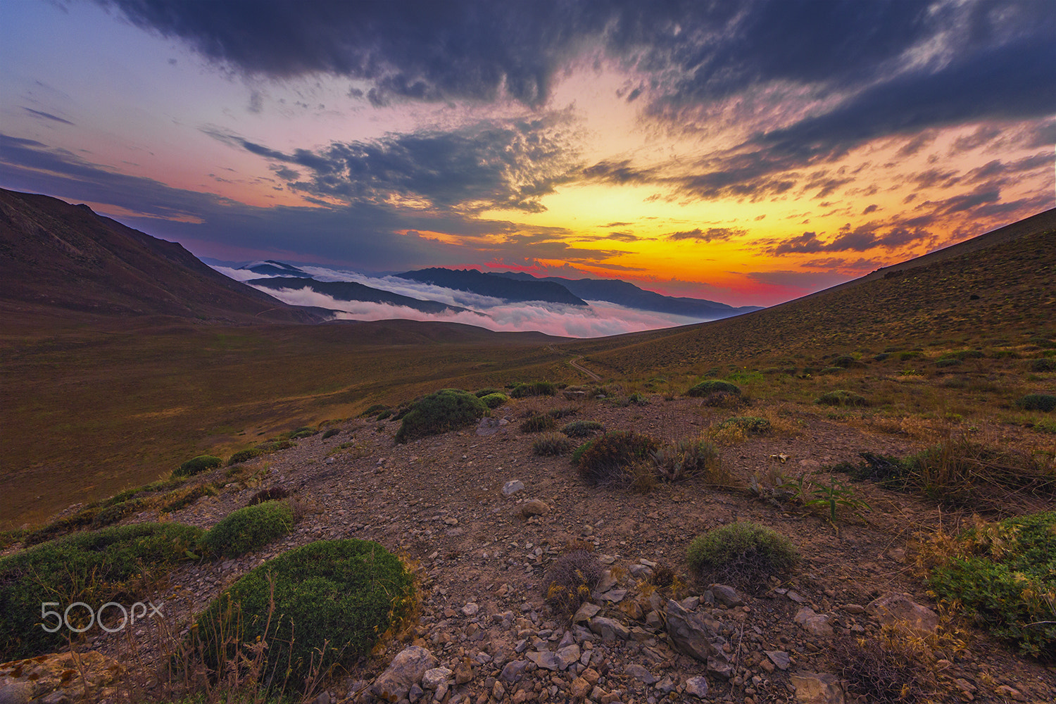 Sigma 8-16mm F4.5-5.6 DC HSM sample photo. Sunset dream photography