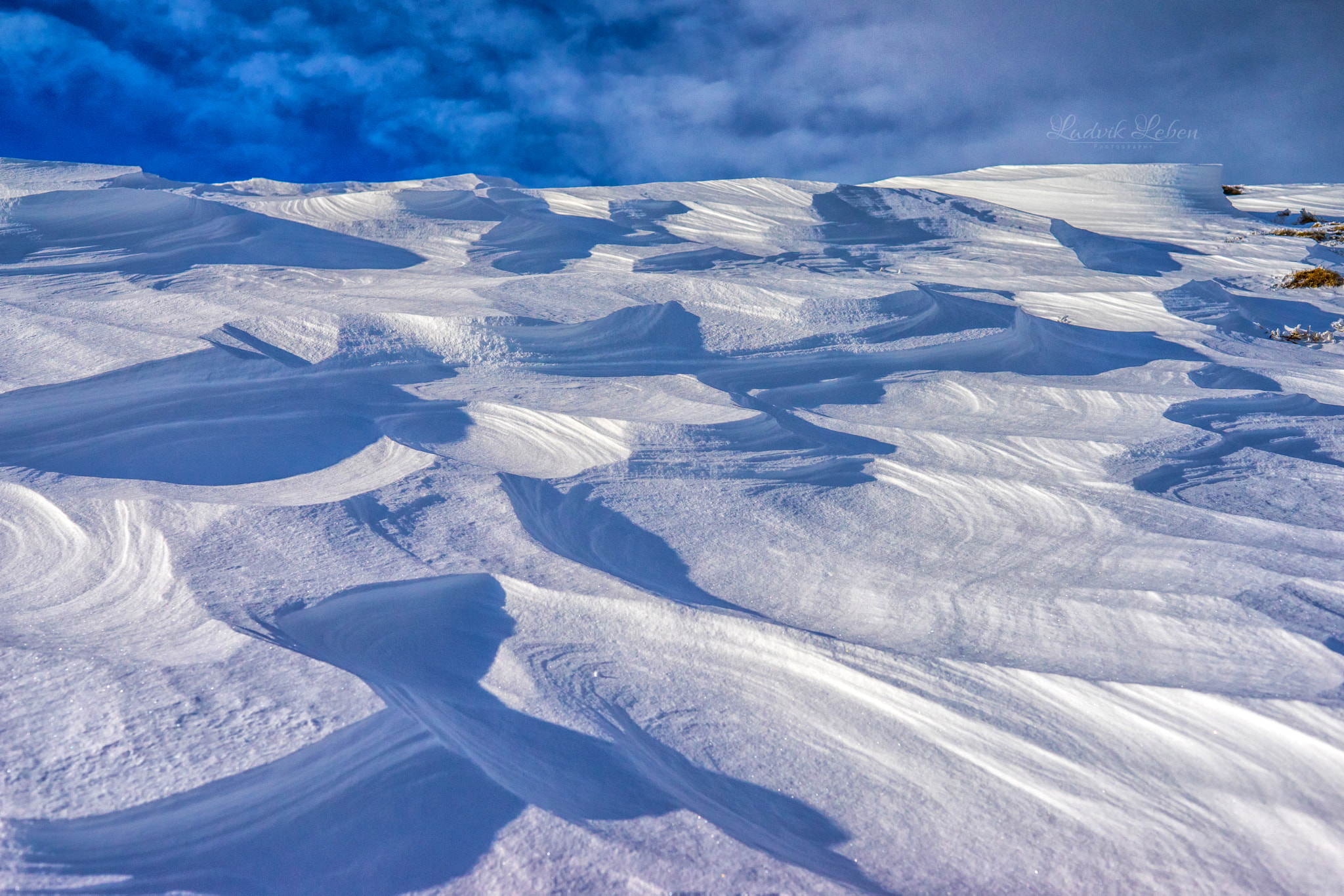 Sony a7 II sample photo. The art of wind photography