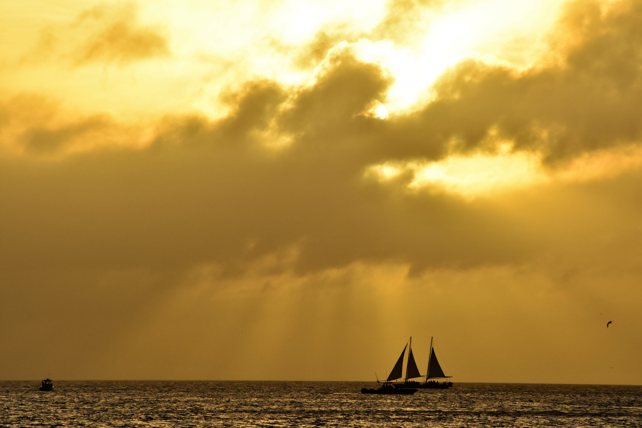 Nikon AF Nikkor 70-300mm F4-5.6G sample photo. Navegando en amarillo - sailing in yellow photography