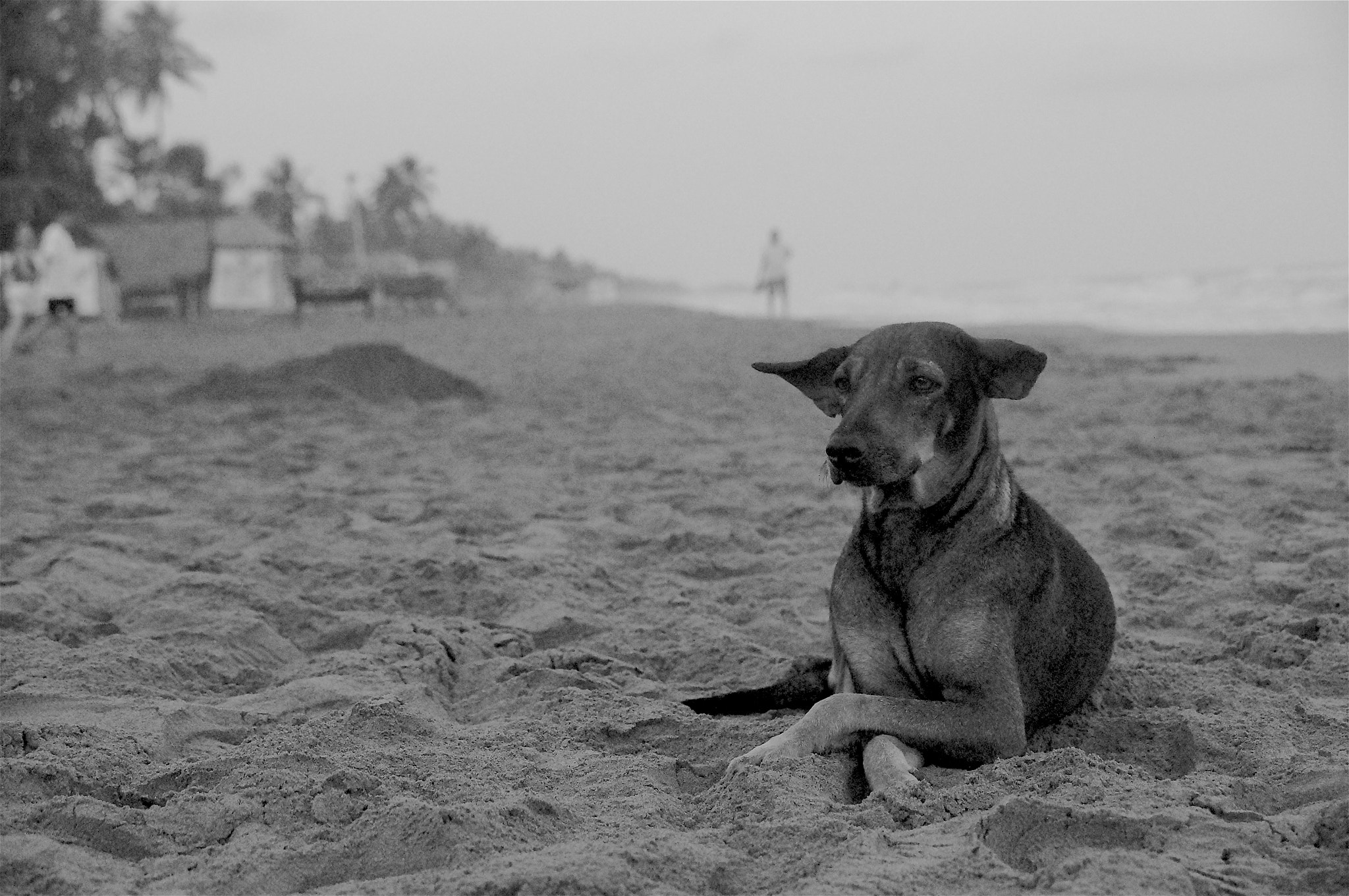 Sony SLT-A37 sample photo. Chillout photography