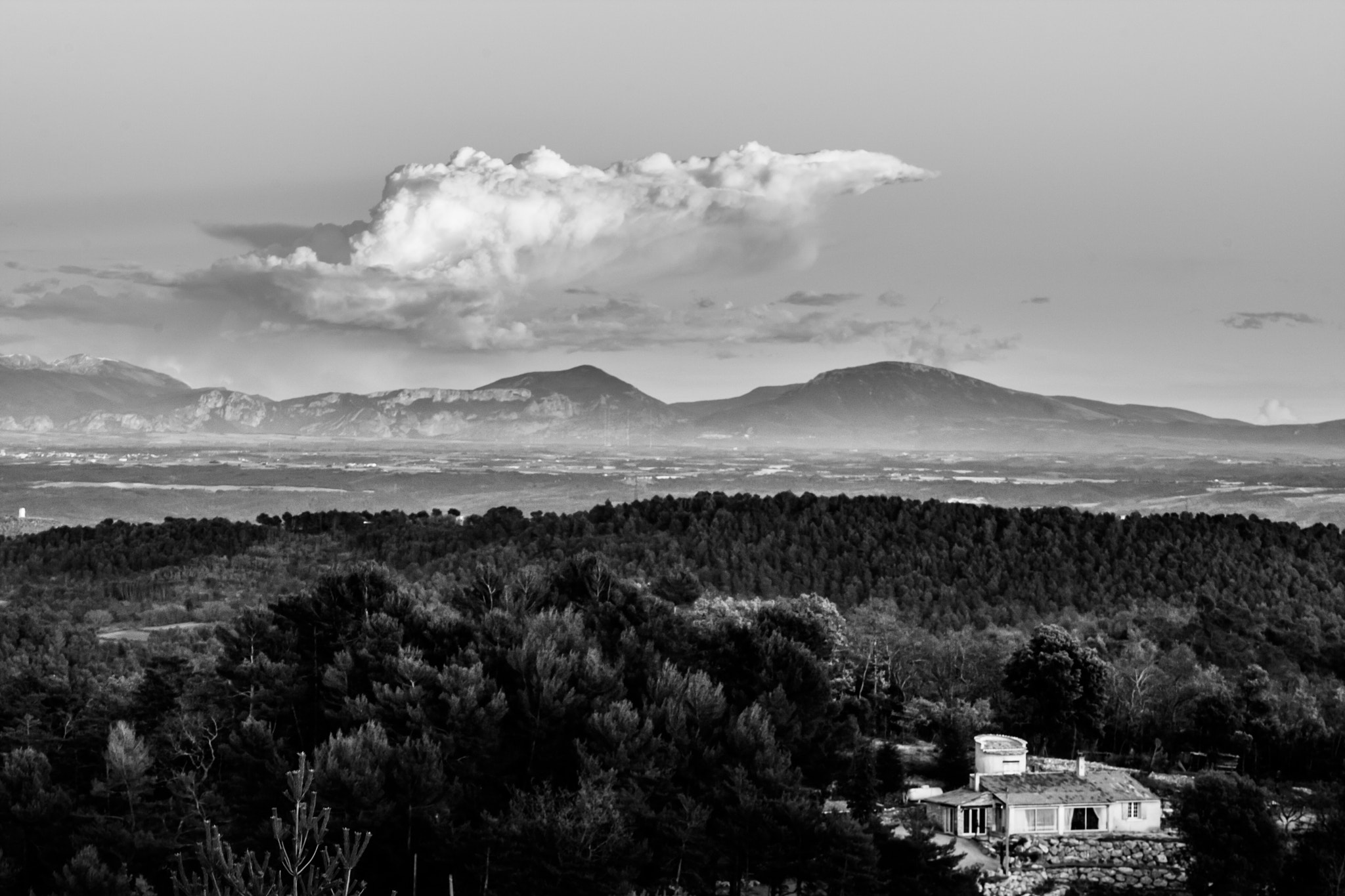 Canon EOS-1D Mark III sample photo. A forgotten home photography