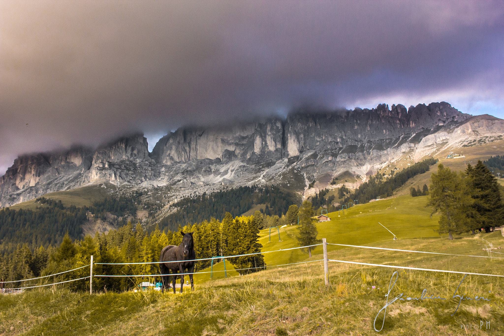 Canon EOS 60D sample photo. Horse power  photography