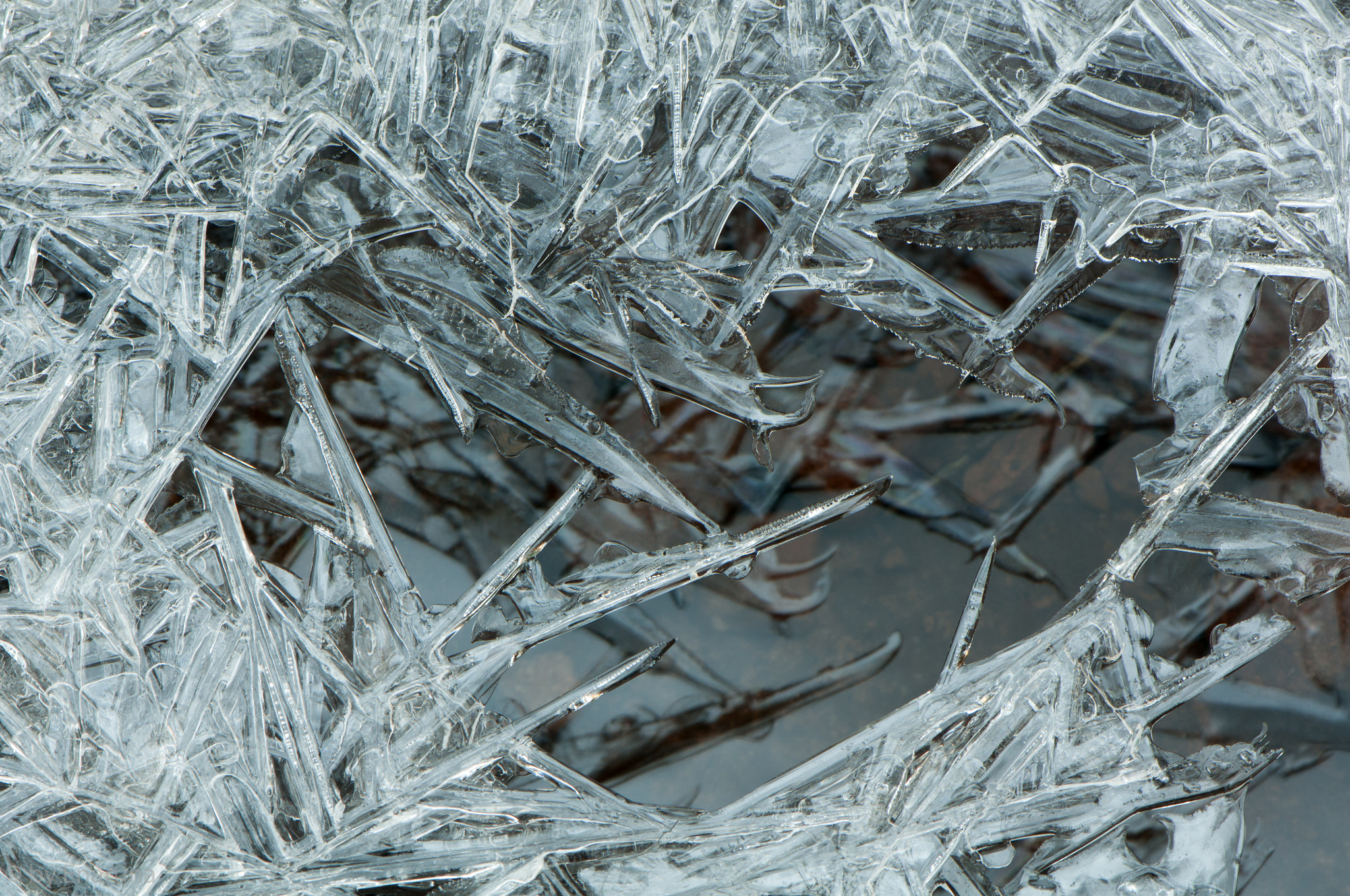 Nikon AF-S Micro-Nikkor 105mm F2.8G IF-ED VR sample photo. Ice pattern photography