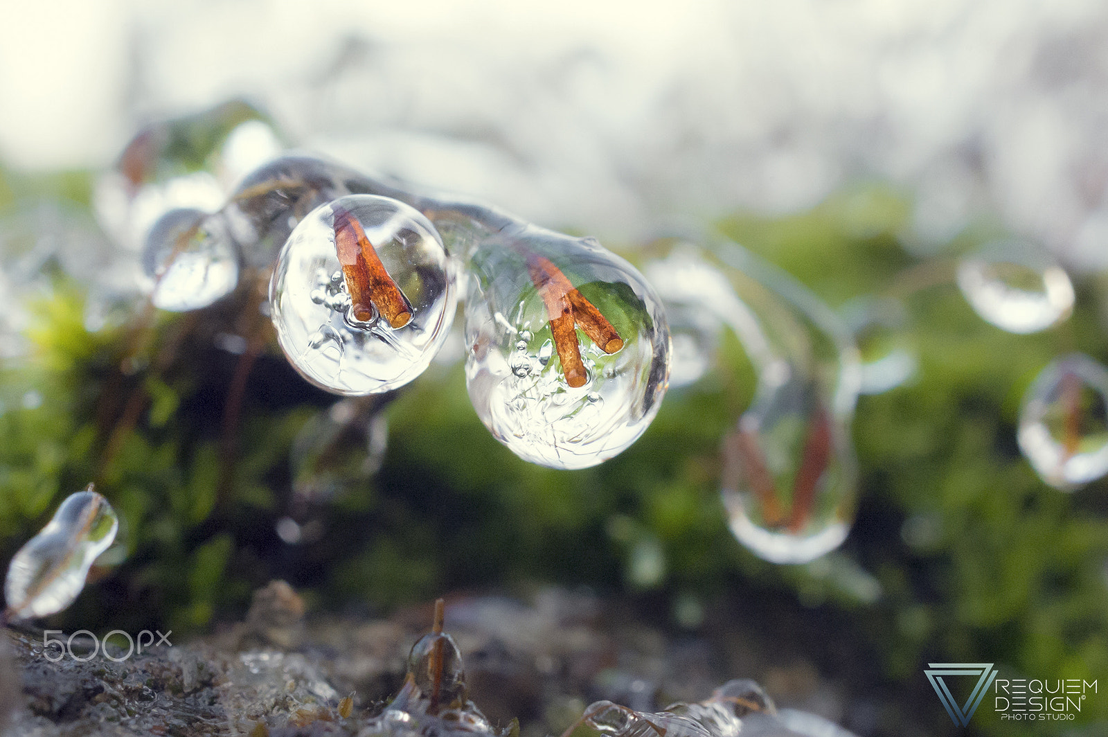 Nikon AF-S DX Micro Nikkor 40mm F2.8 sample photo. Ice drop photography