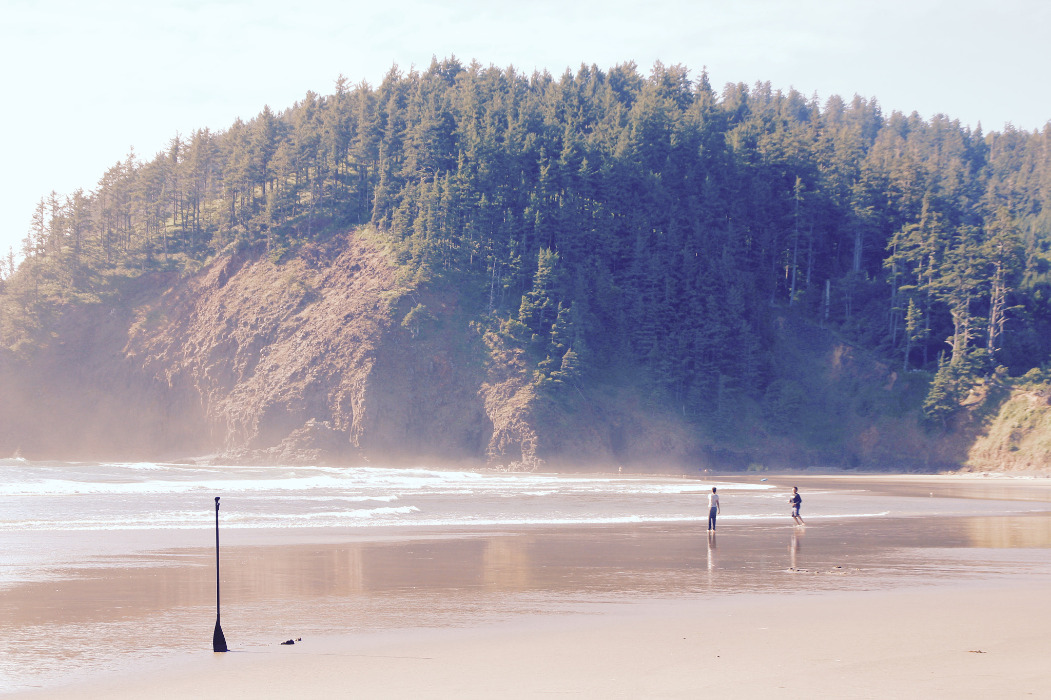 Canon EOS 550D (EOS Rebel T2i / EOS Kiss X4) sample photo. Standing paddle on canon beach photography
