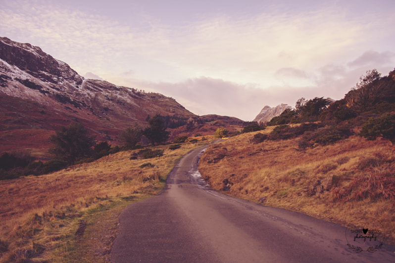 Canon EOS 5D Mark II + Canon EF 400mm f/2.8L sample photo. The long and winding road photography