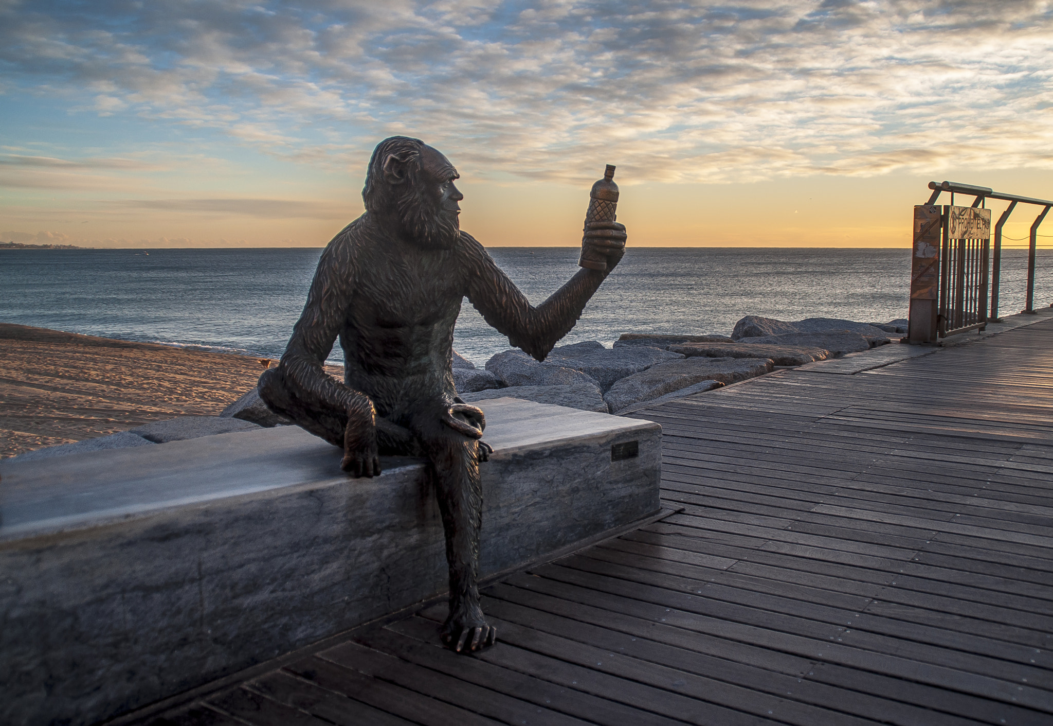 Nikon D5000 sample photo. Badalona estatua anís del mono photography
