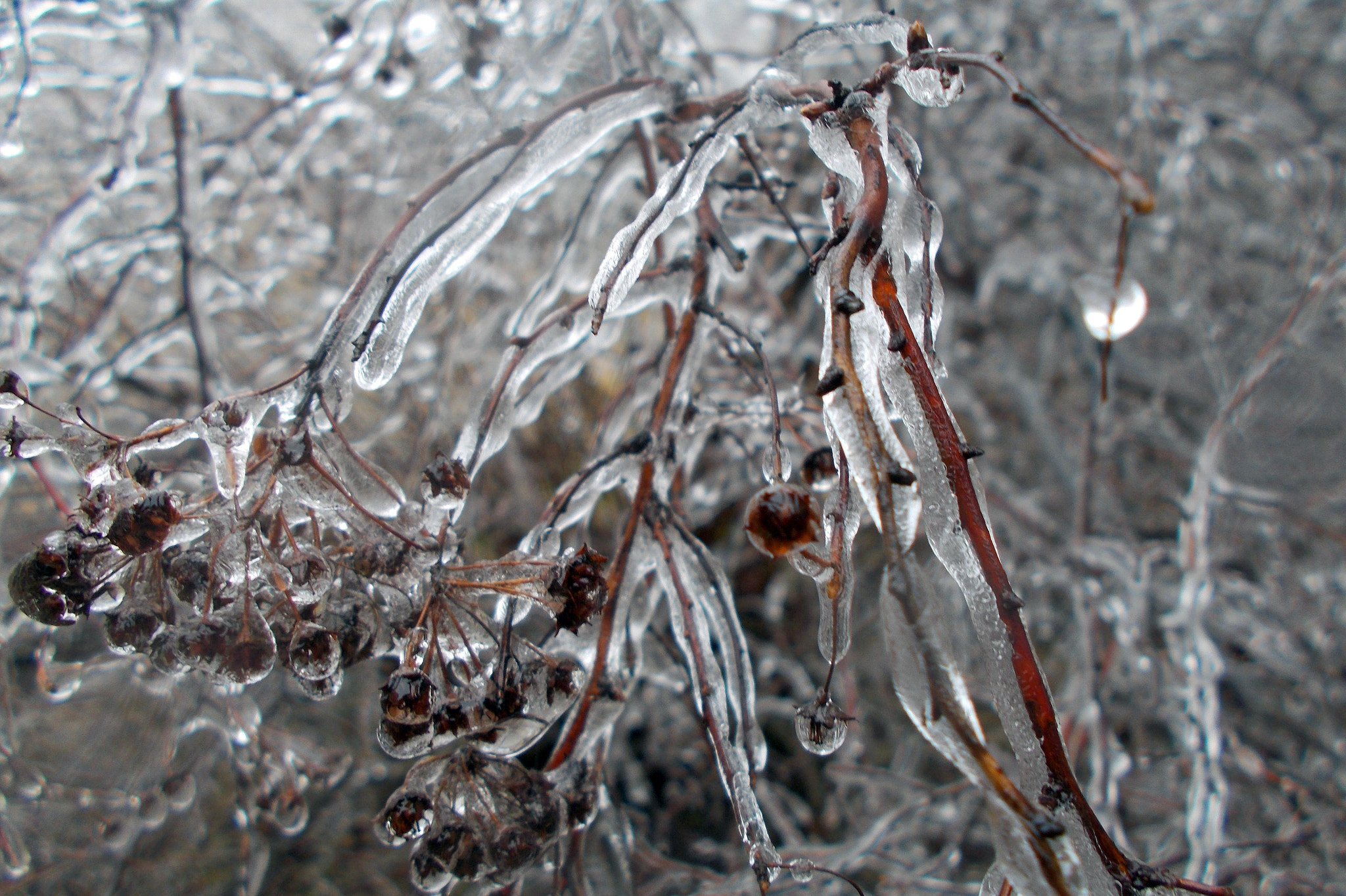 Nikon COOLPIX L27 sample photo. Icy photography