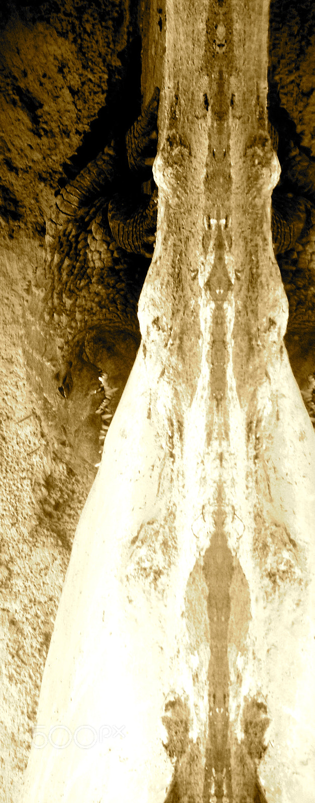 Samsung WB550, WB560 / VLUU WB550 /  HZ15W sample photo. The hidden crocodile photography