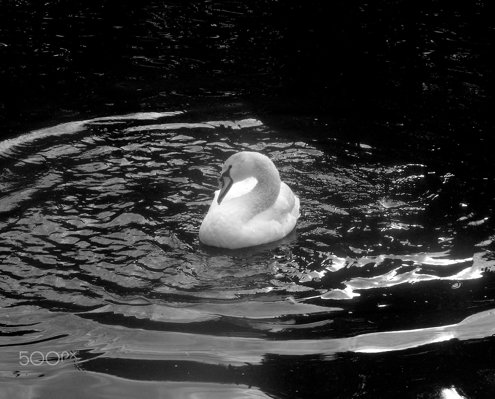 Samsung WB550, WB560 / VLUU WB550 /  HZ15W sample photo. Swanemente photography