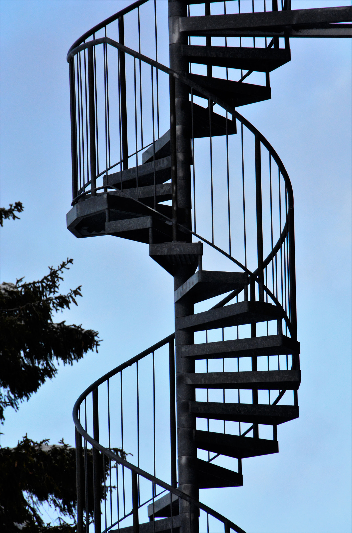 Sigma 18-250mm F3.5-6.3 DC OS HSM sample photo. Upstairs to heaven photography