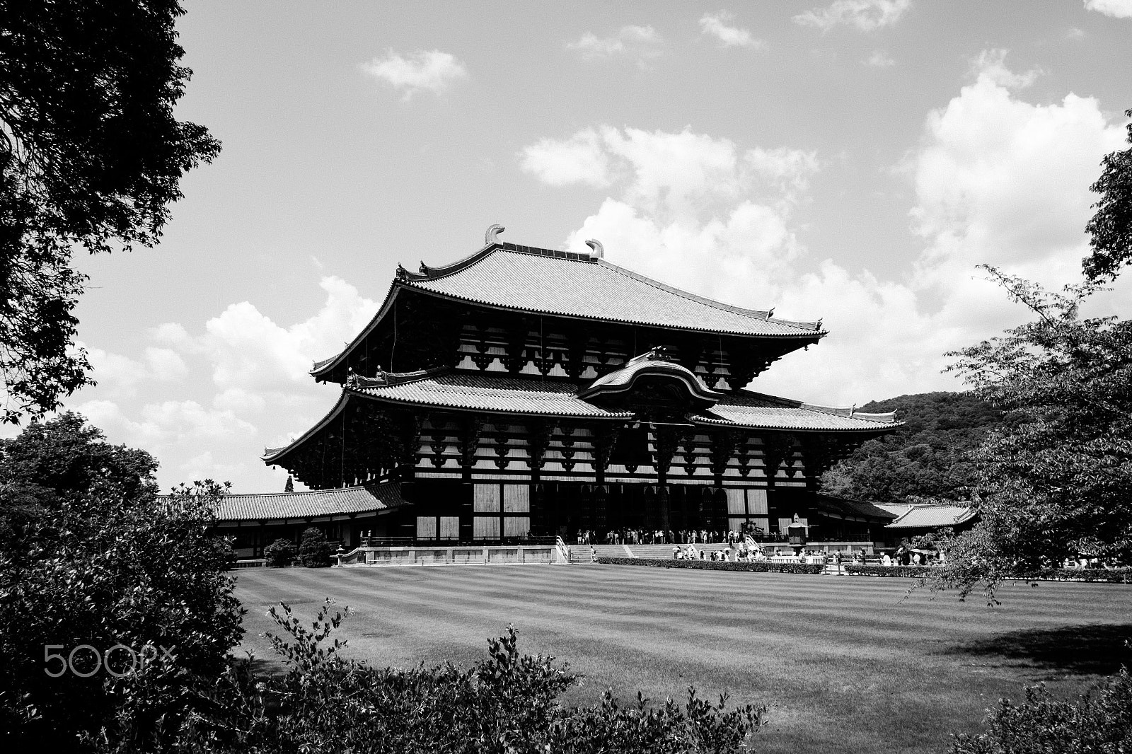 Fujifilm X-T10 + Fujifilm XF 18mm F2 R sample photo. Todaji temple photography