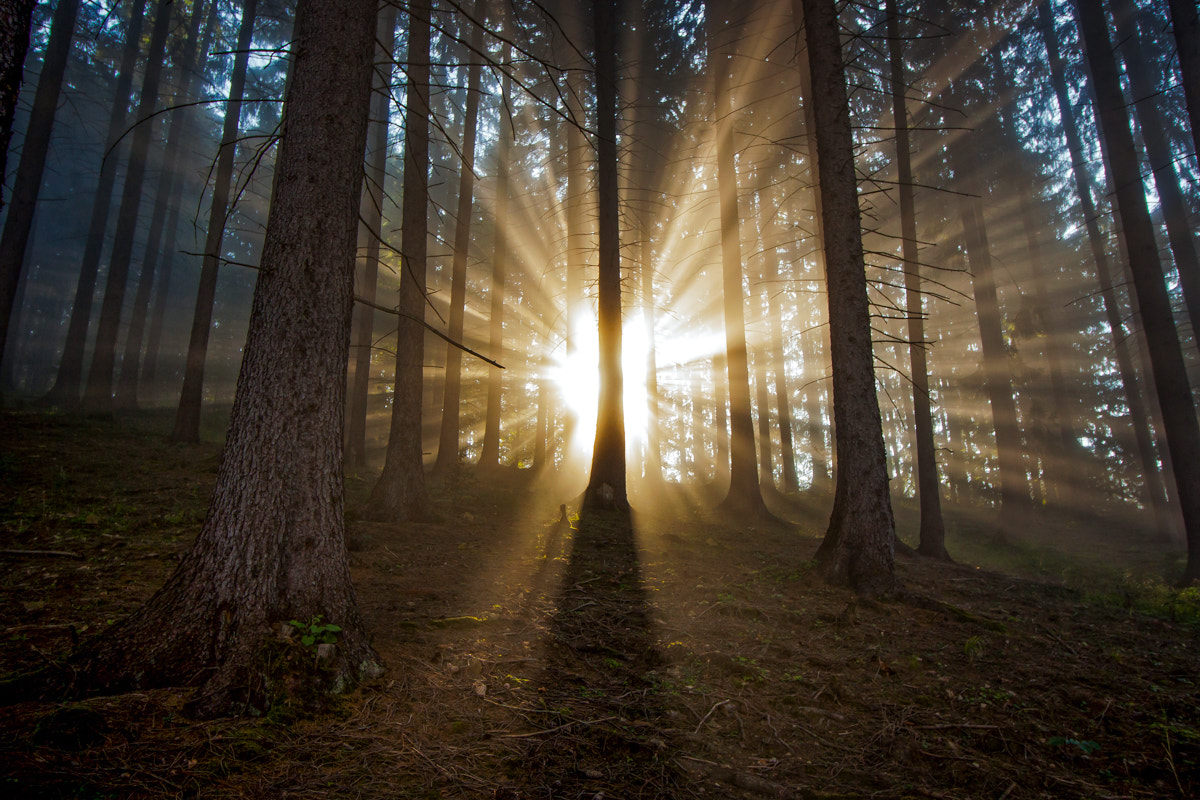 Canon EOS 50D sample photo. Sunrise photography