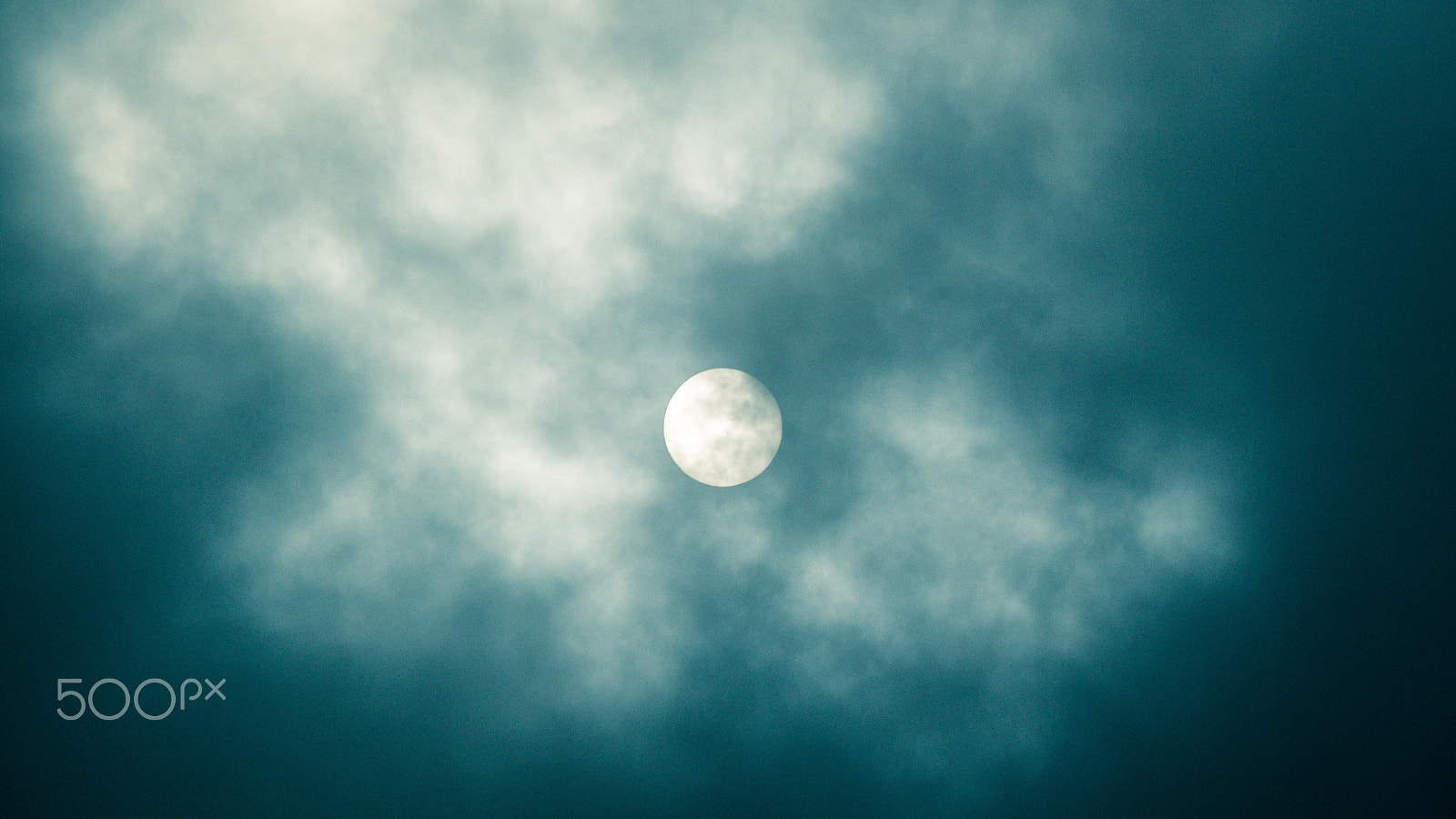 Olympus OM-D E-M5 sample photo. Heavy sun photography